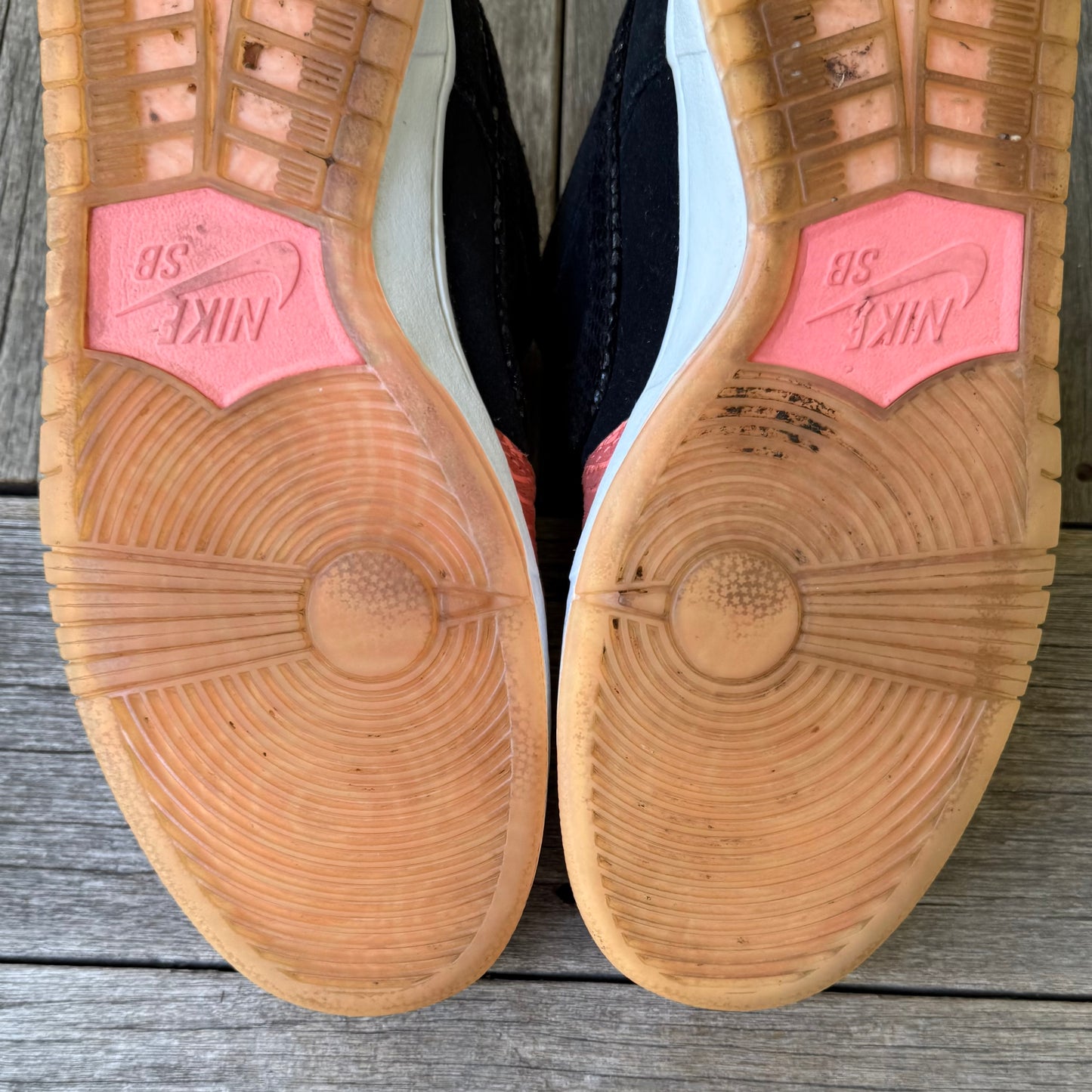 Nike SB Dunk Low Fish Ladder Size 12