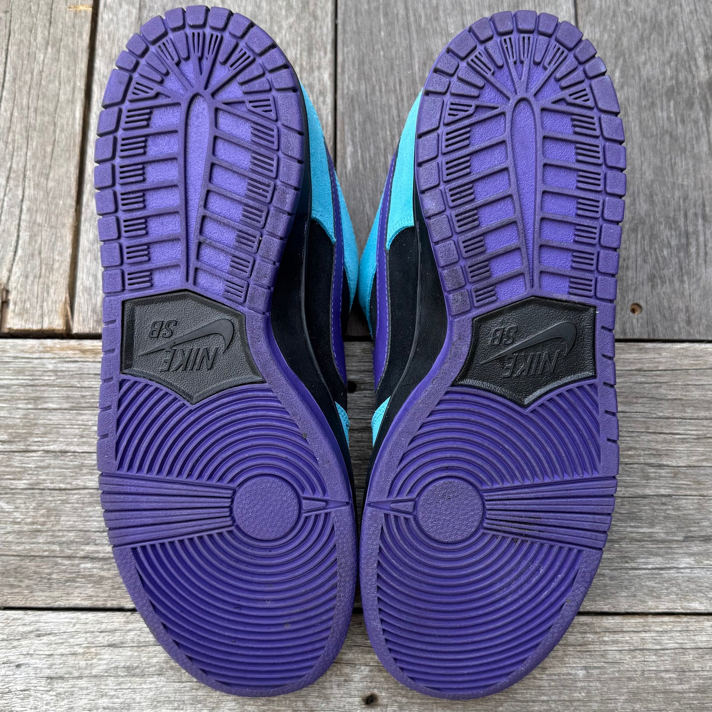 Nike SB Dunk Low Skeletor Size 10
