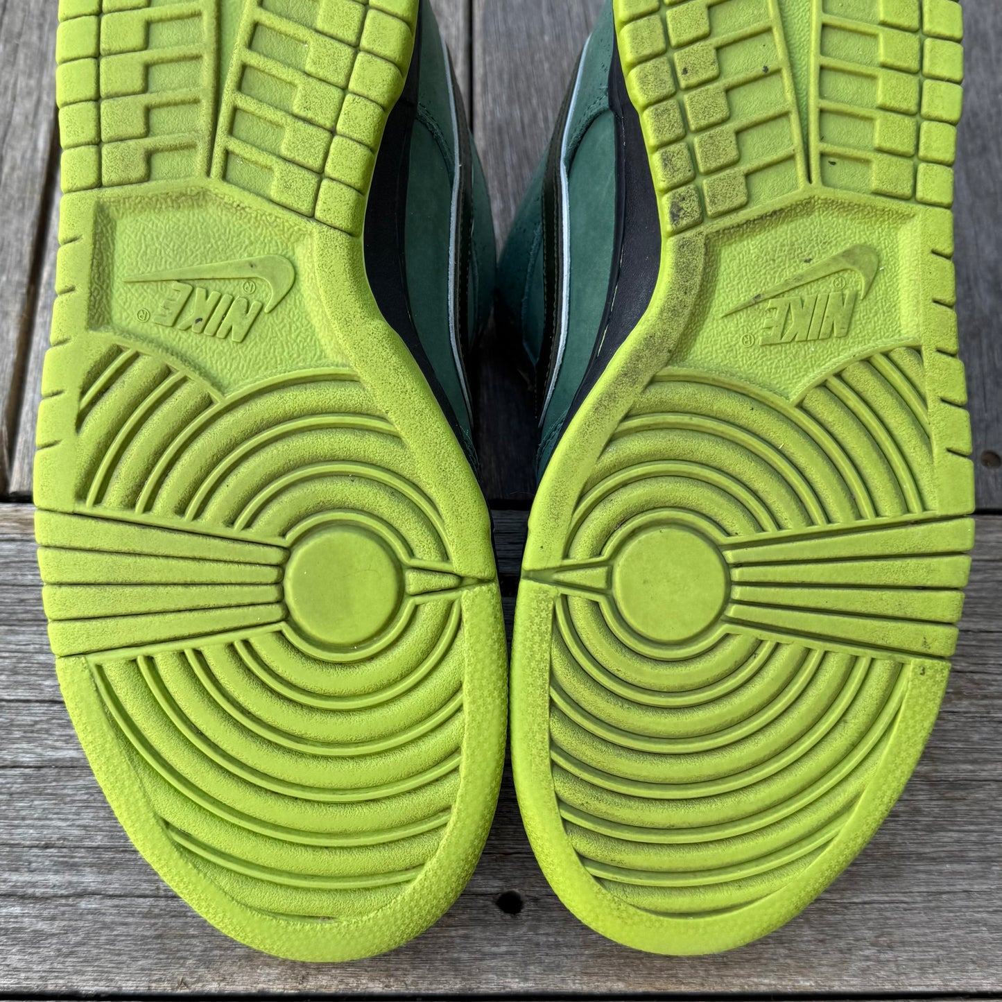 Nike SB Dunk Low Green Lobster Size 9.5