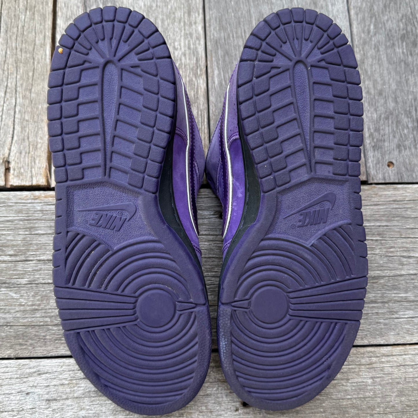 Nike SB Dunk Low Purple Lobster Size 8.5