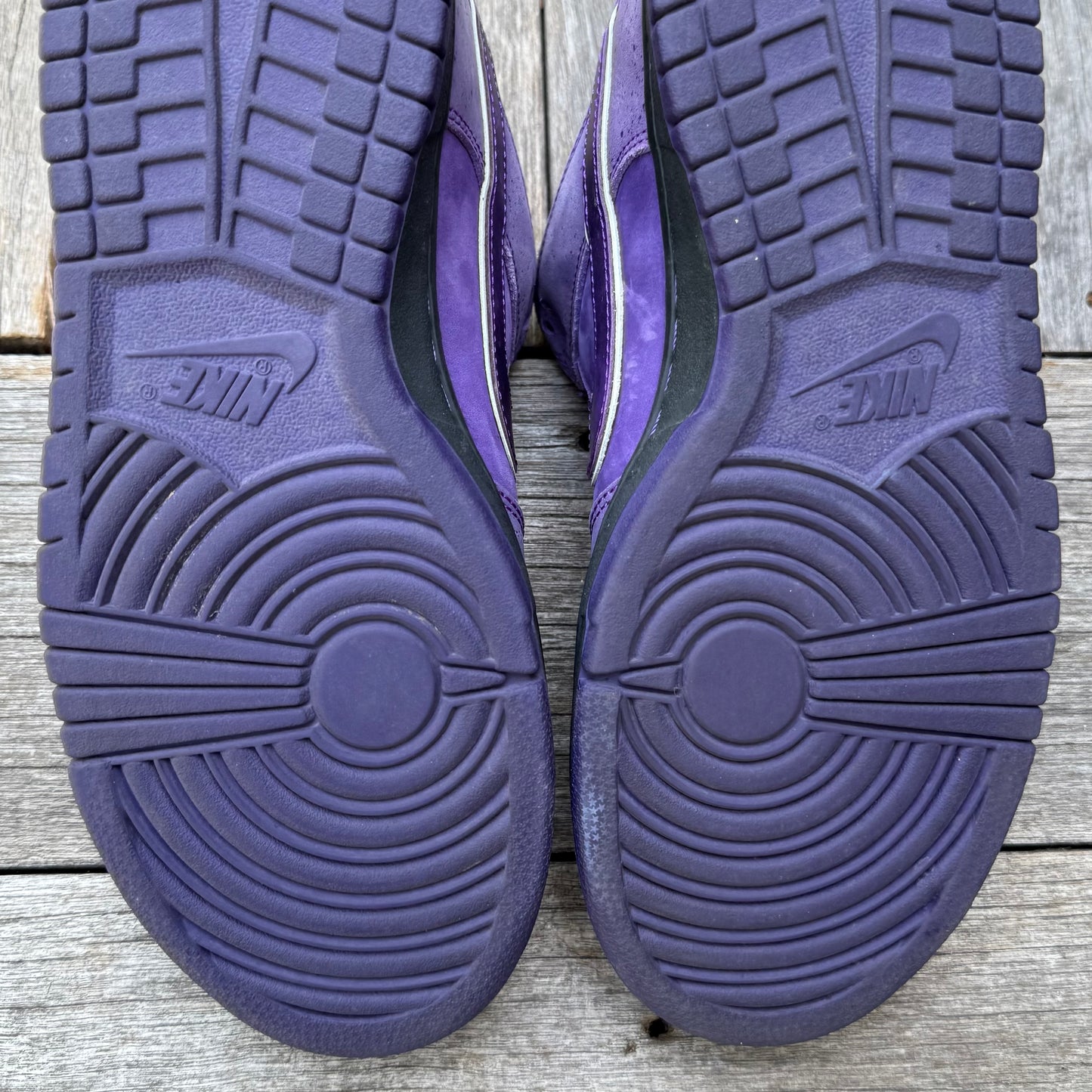 Nike SB Dunk Low Purple Lobster Size 8.5