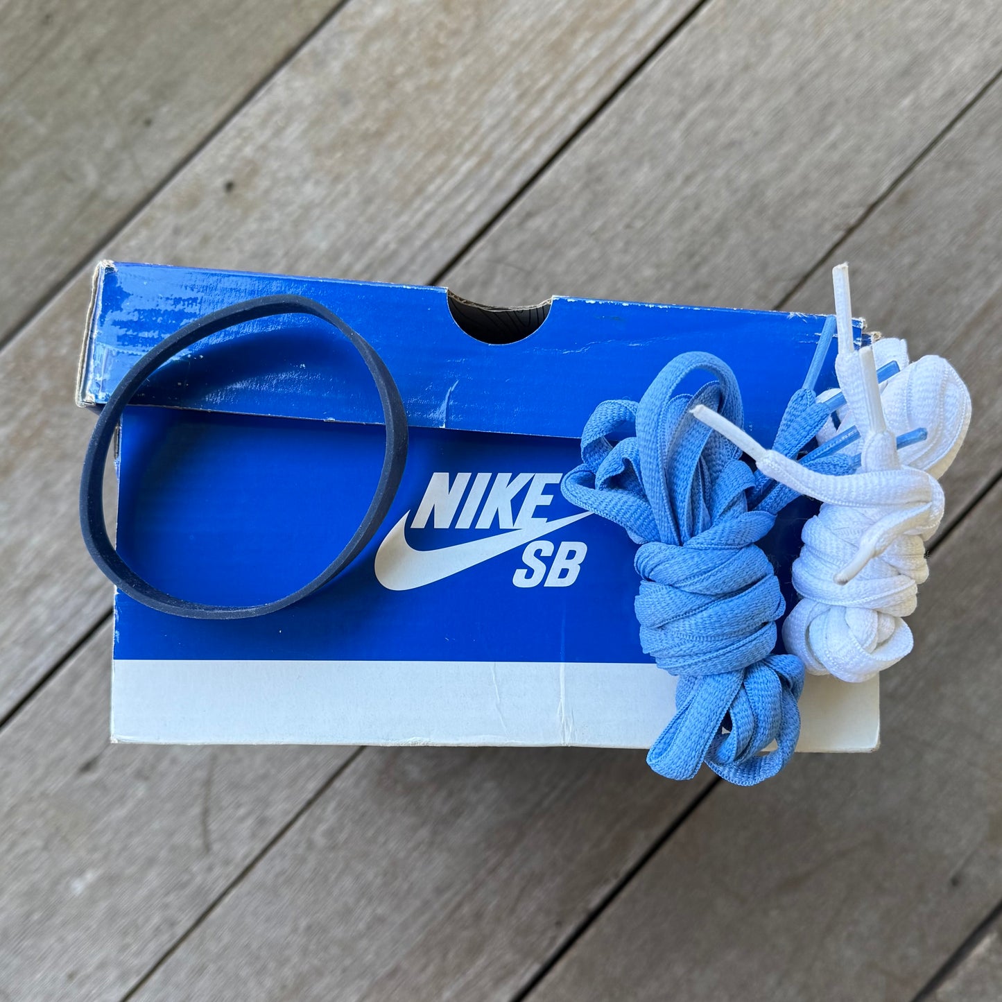 Nike SB Dunk Low Blue Lobster Size 10