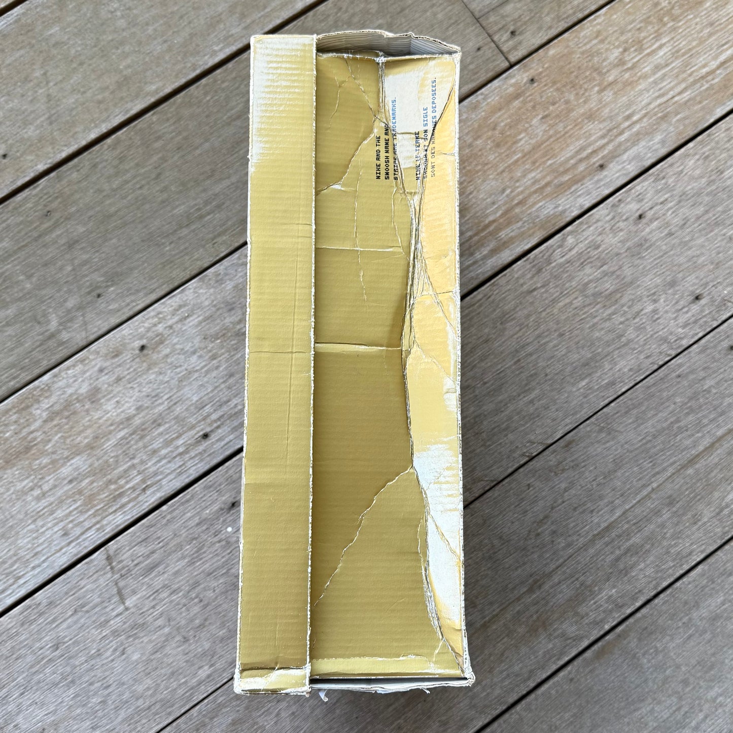 Nike SB Dunk Low Mosquito Size 11