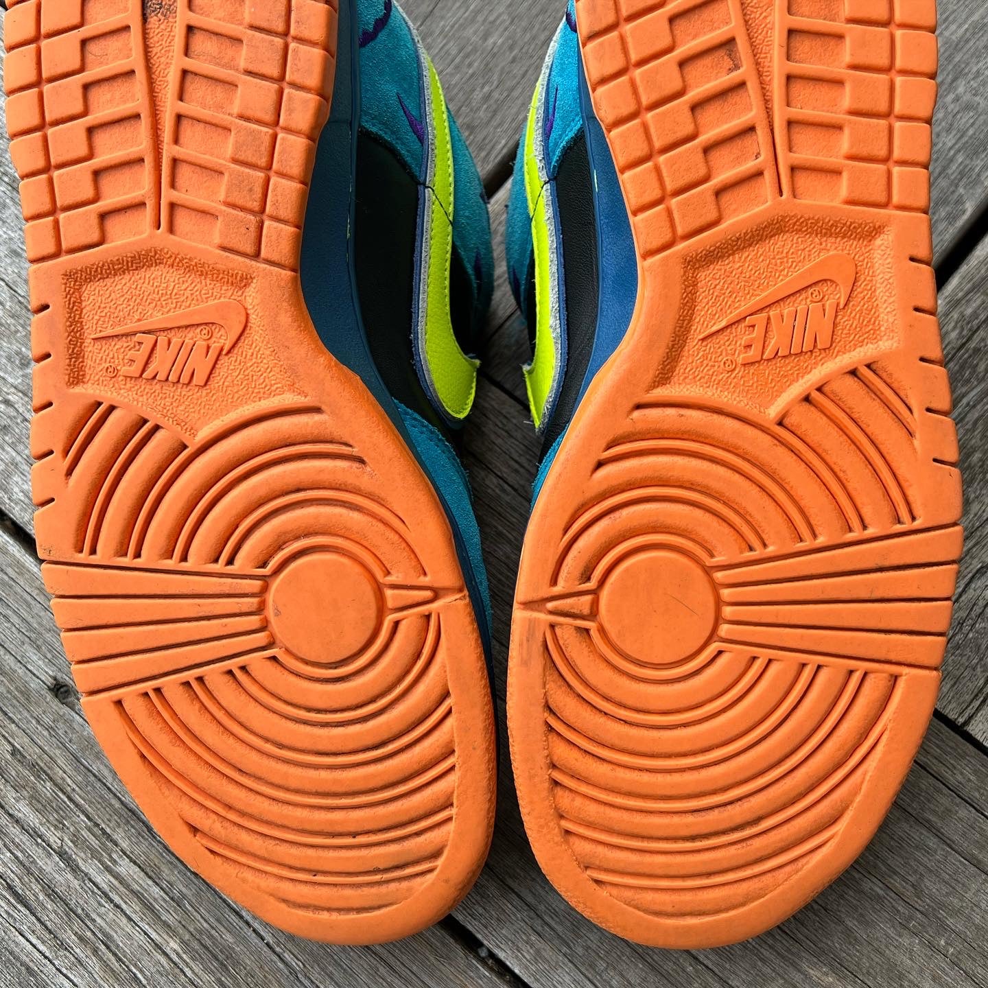 Nike SB Dunk Low Skate or Die Size 12