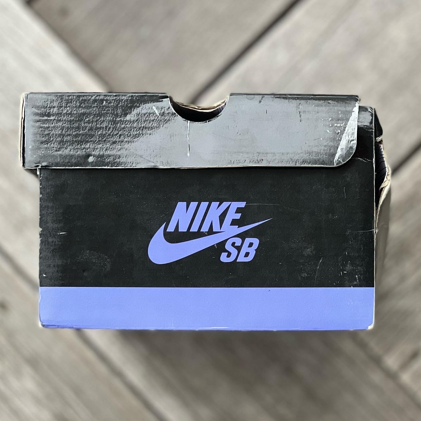 Nike SB Dunk Low Purple Pigeon Size 9