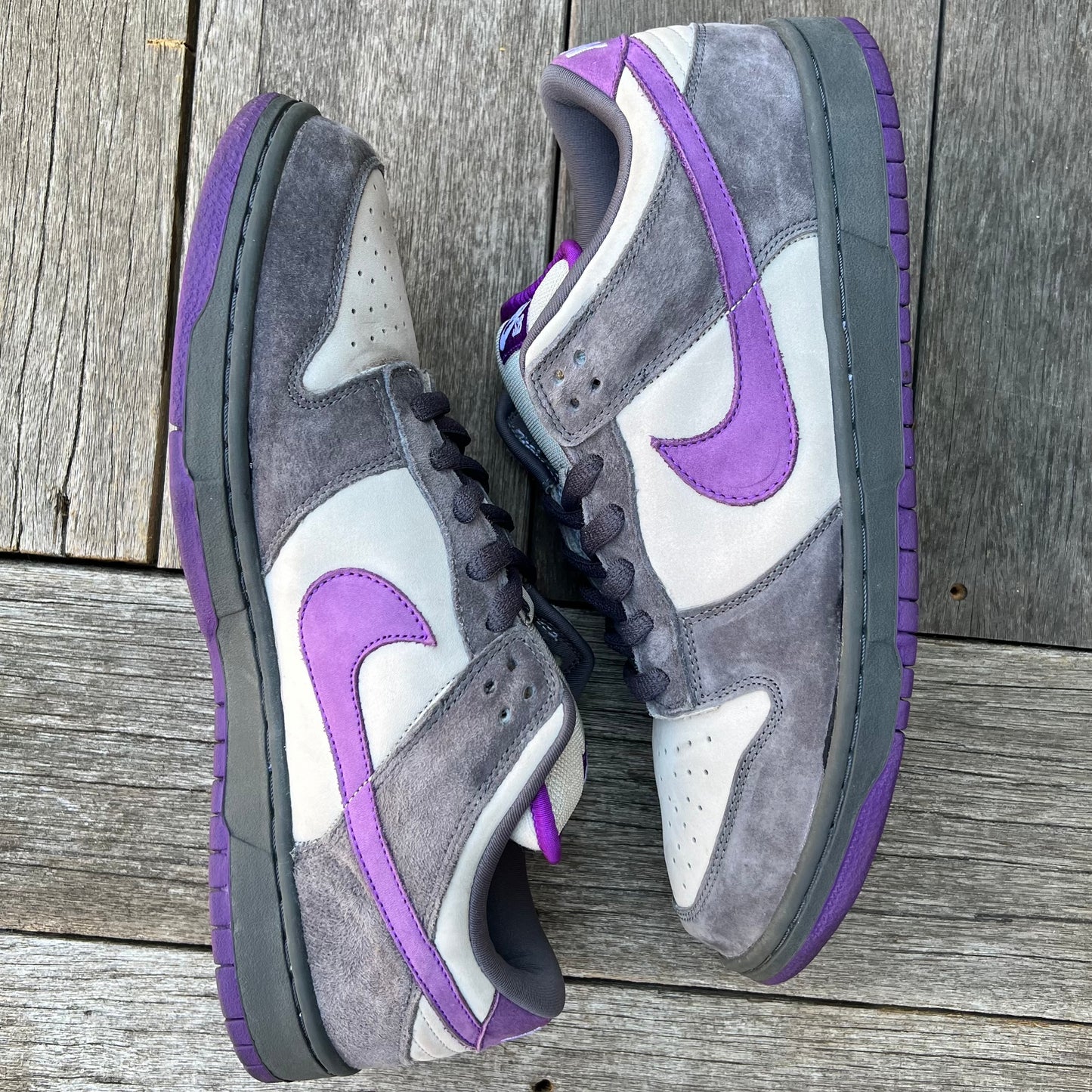 Nike SB Dunk Low Purple Pigeon Size 13