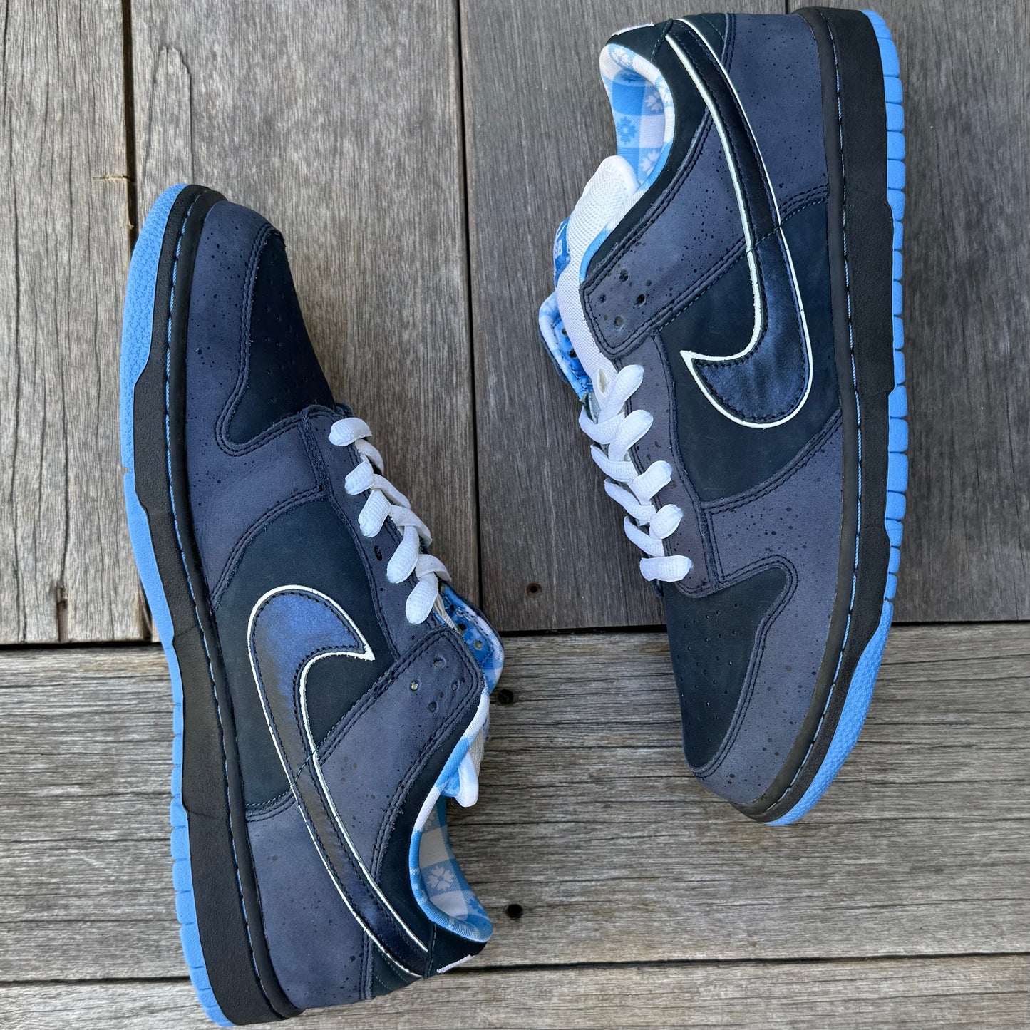 Nike SB Dunk Low Blue Lobster Size 12