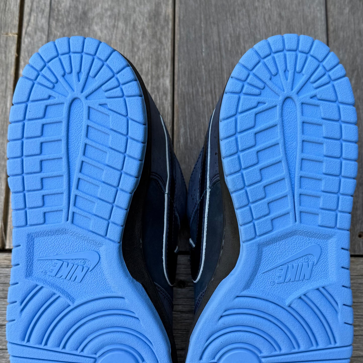 Nike SB Dunk Low Blue Lobster Size 12