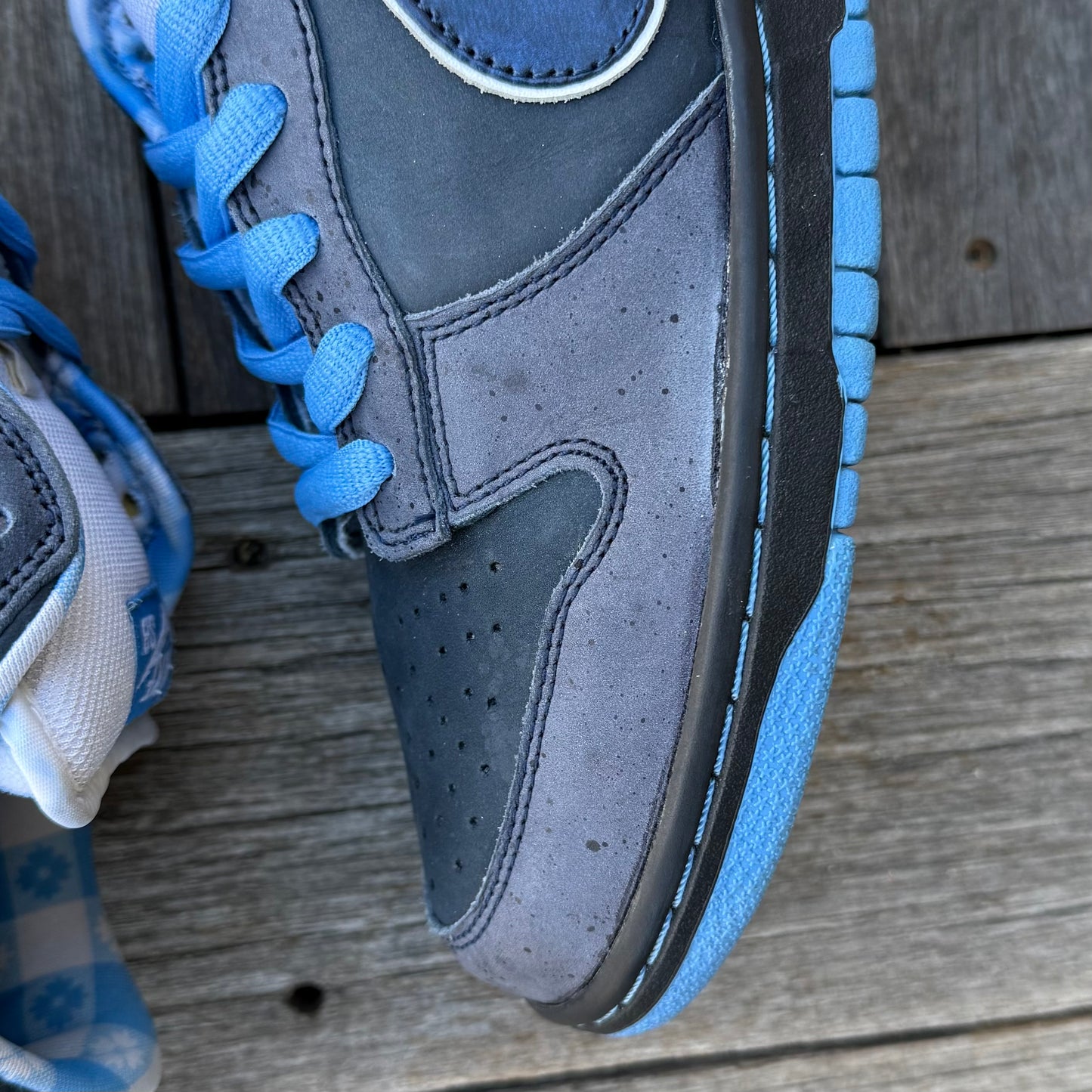 Nike SB Dunk Low Blue Lobster Size 10