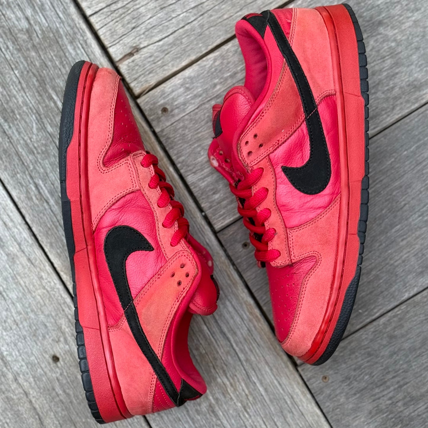 Nike SB Dunk Low True Red Size 11