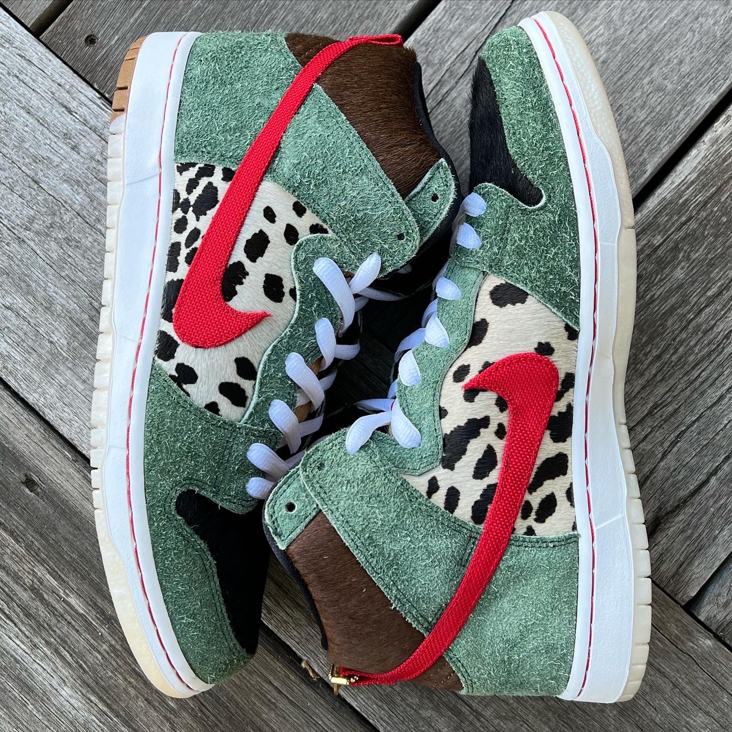 Nike dunk sb walk the outlet dog