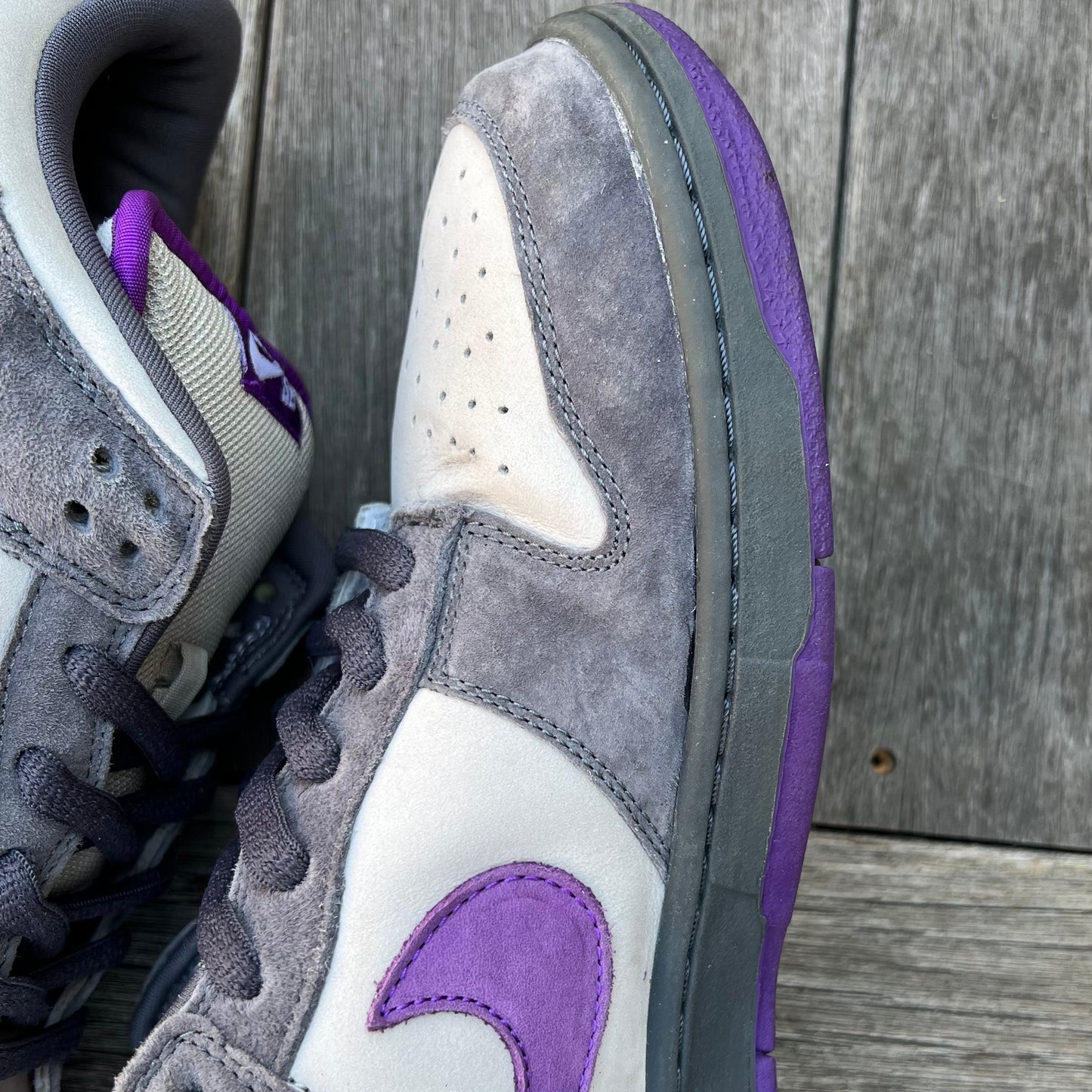 Nike SB Dunk Low Purple Pigeon Size 13