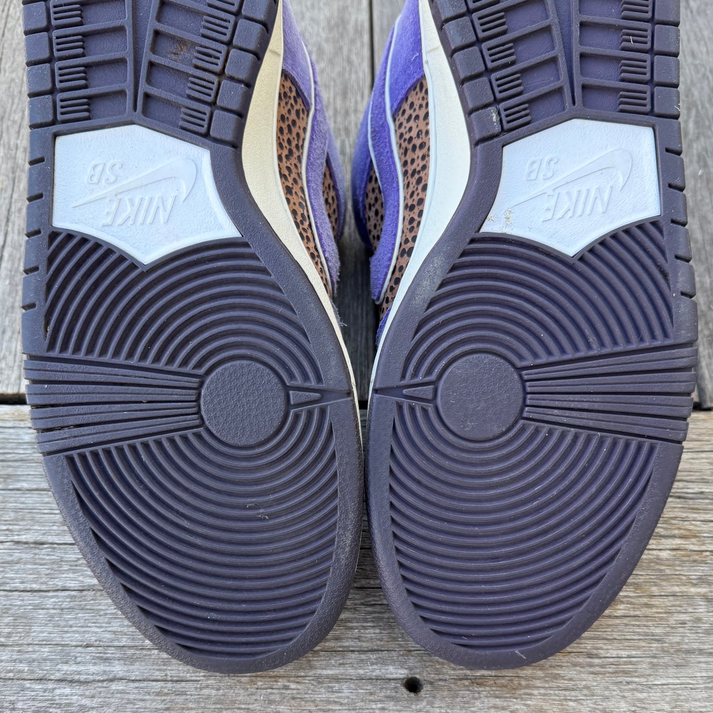 Nike SB Dunk Low Kenny Powers Size 10.5