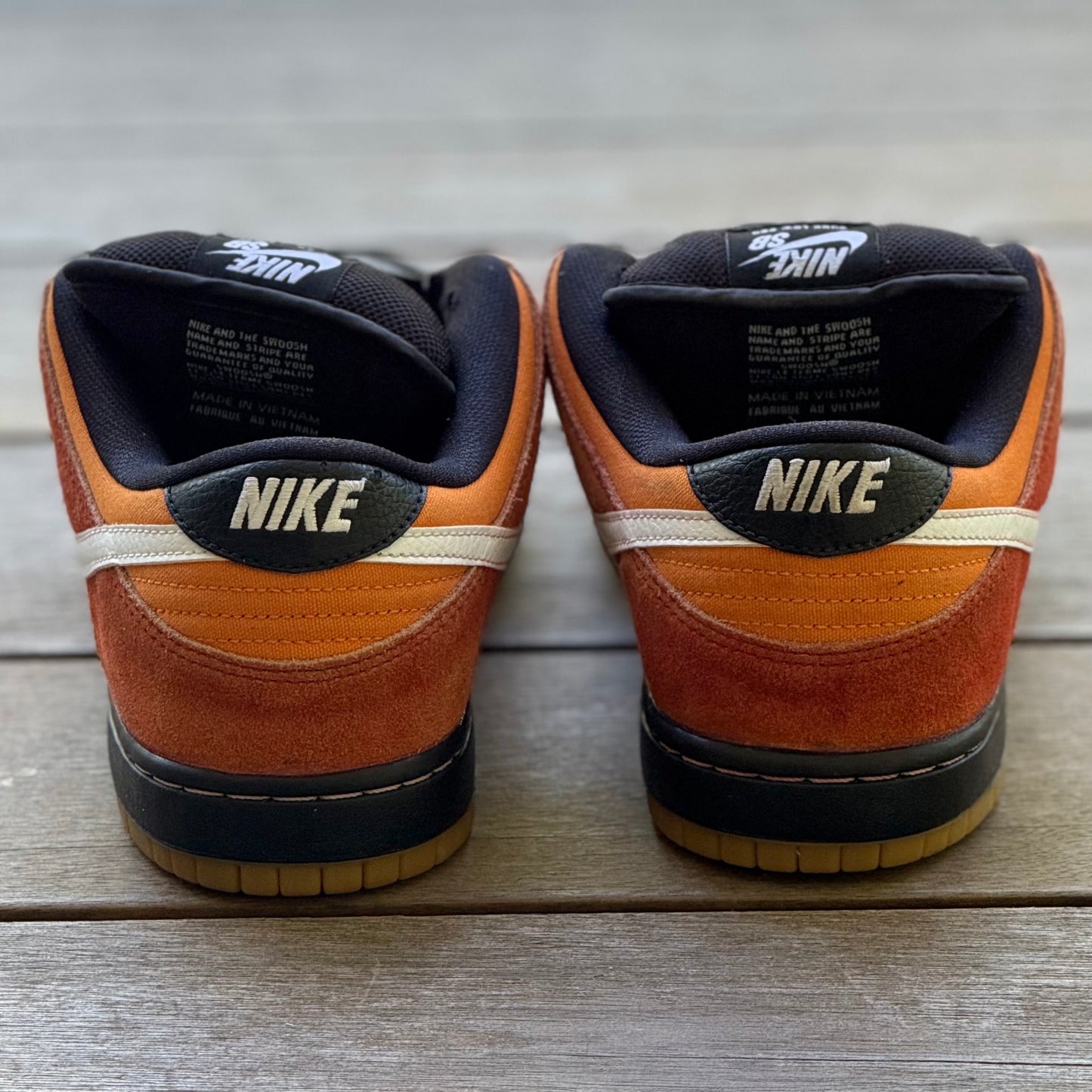 Nike SB Dunk Low Reverse RayGun Cinnabar Size 8.5