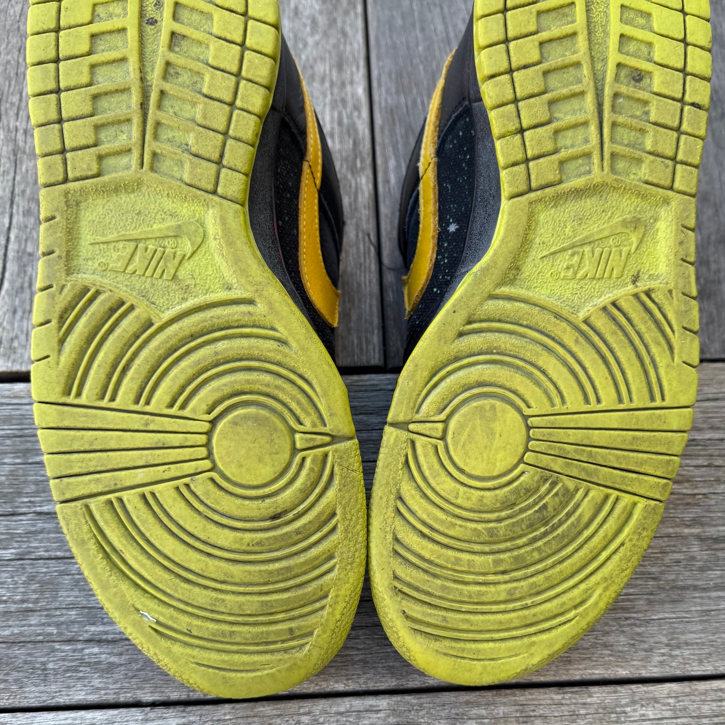 Nike SB Dunk Low Space Tiger Size 9