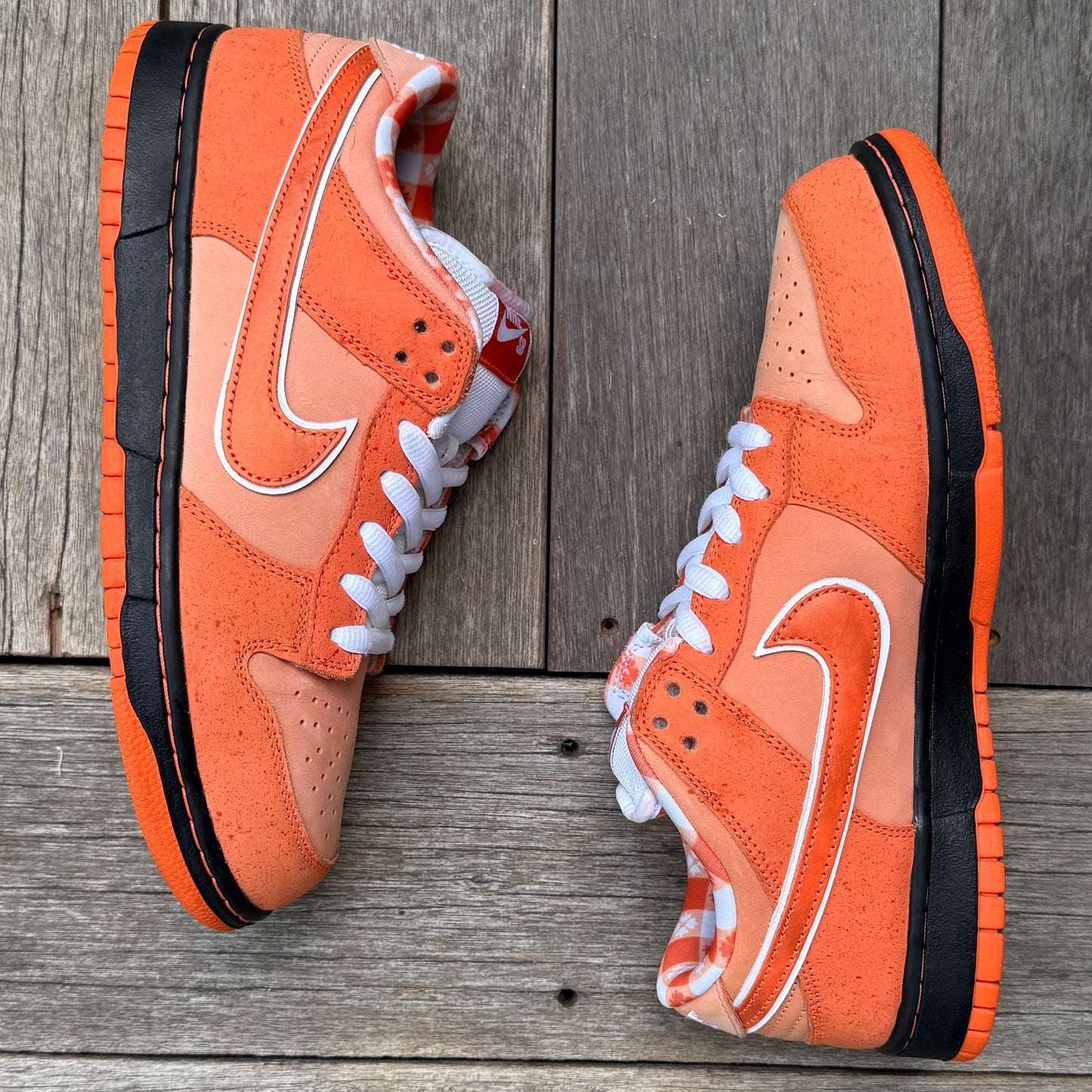 Nike SB Dunk Low Orange Lobster Size 10