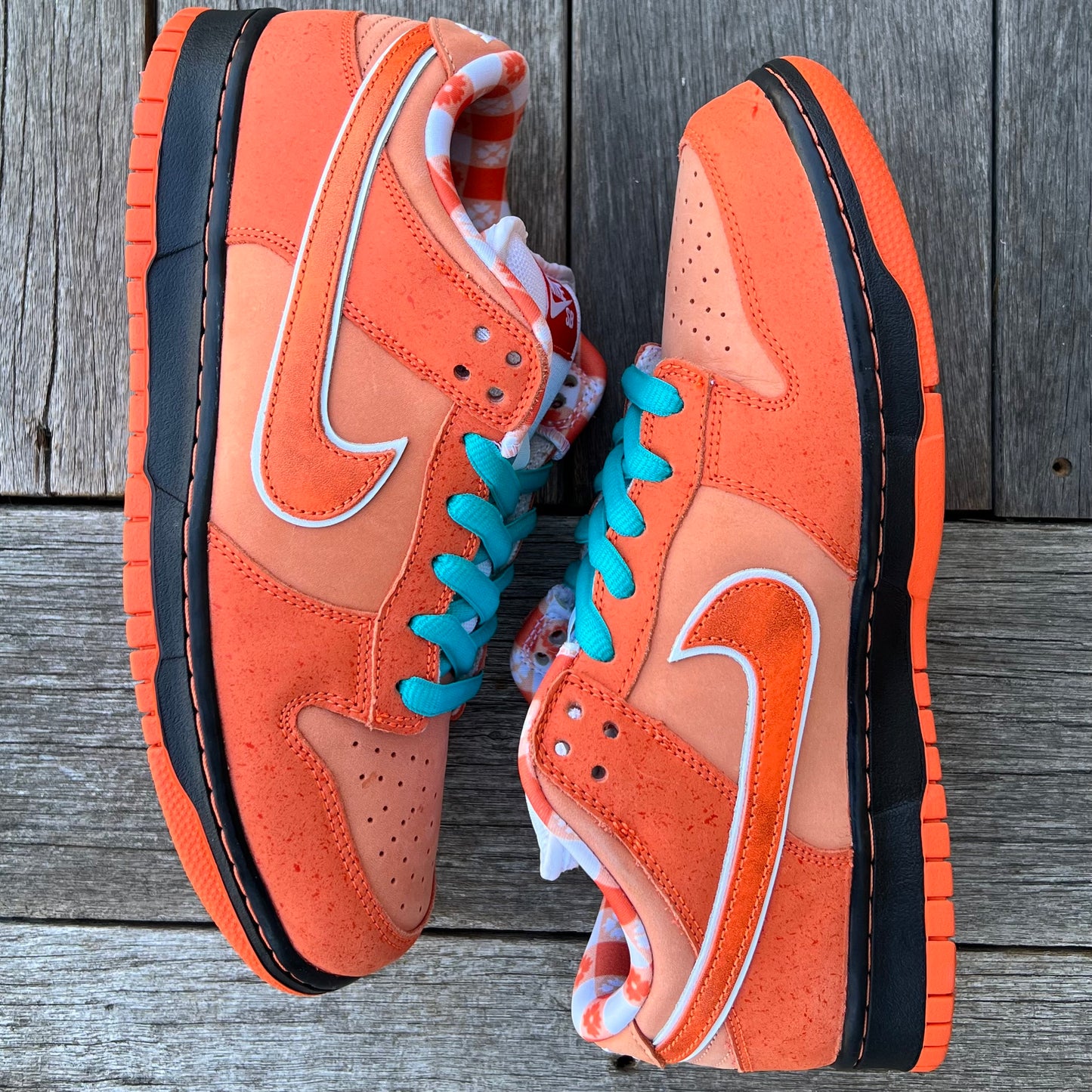 Nike SB Dunk Low Orange Lobster Size 10