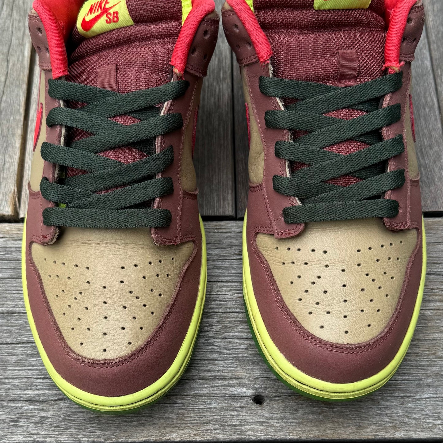 Nike SB Dunk Low Toxic Sea Robin Size 10.5