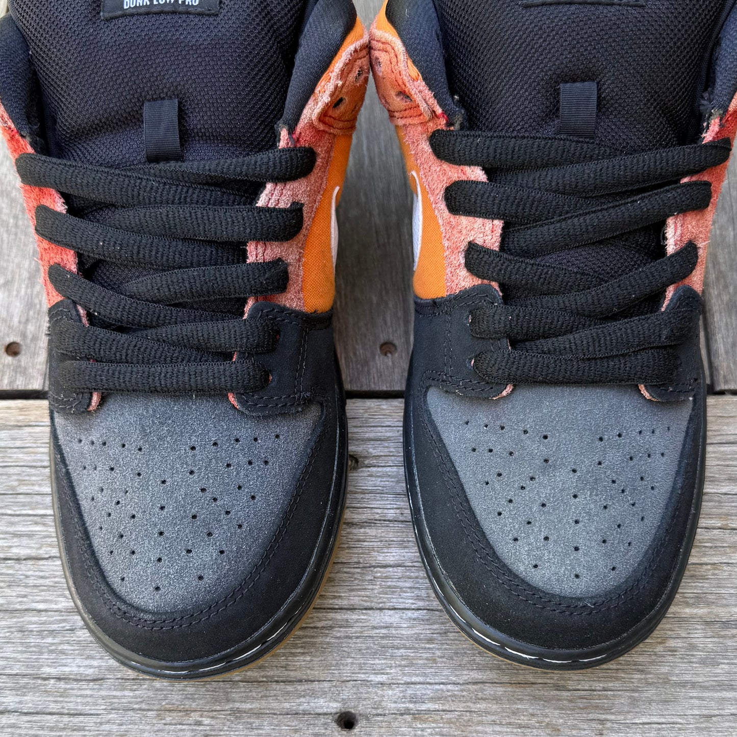 Nike SB Dunk Low Reverse RayGun Cinnabar Size 8.5