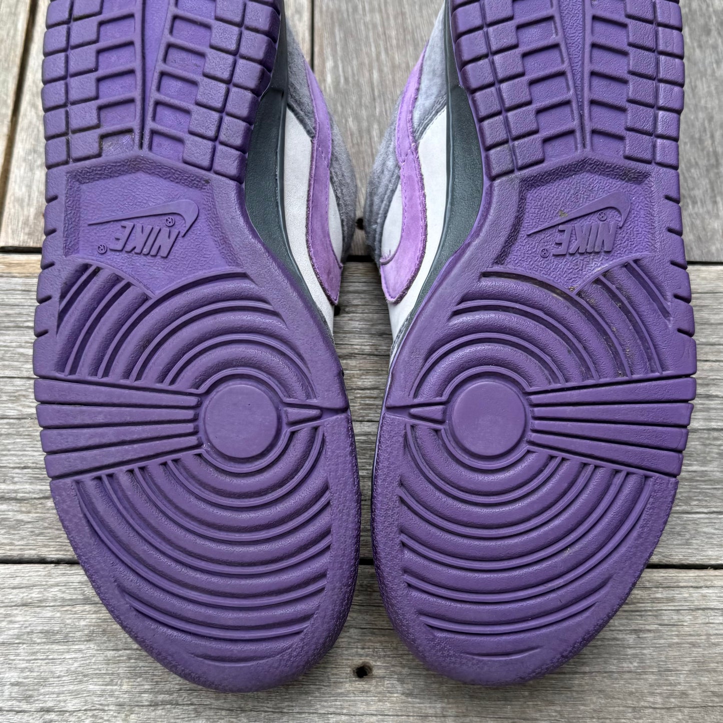 Nike SB Dunk Low Purple Pigeon Size 9.5