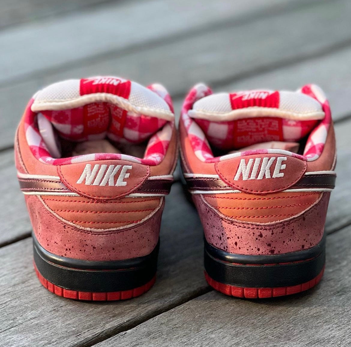 Nike SB Dunk Low Red Lobster Size 9.5