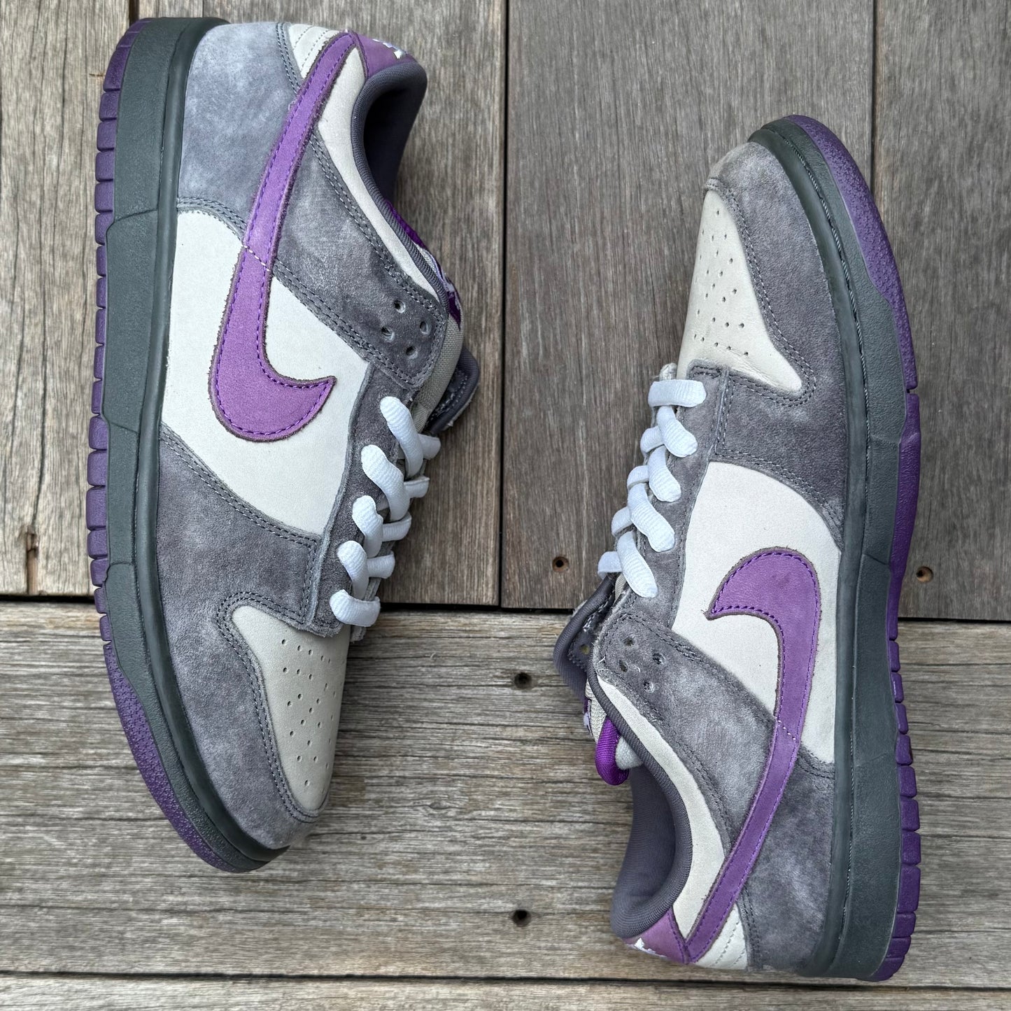 Nike SB Dunk Low Purple Pigeon Size 9.5