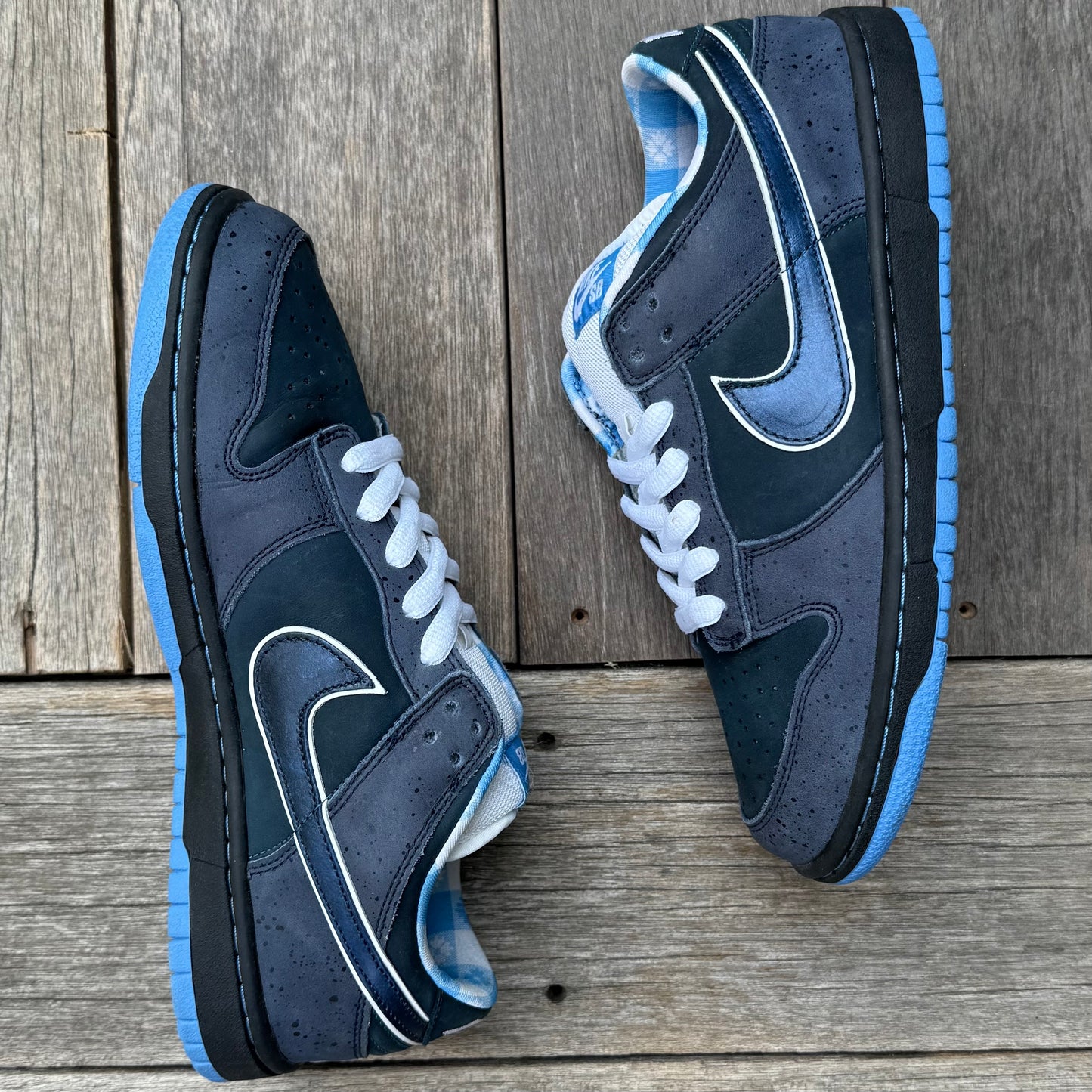 Nike SB Dunk Low Blue Lobster Size 8.5