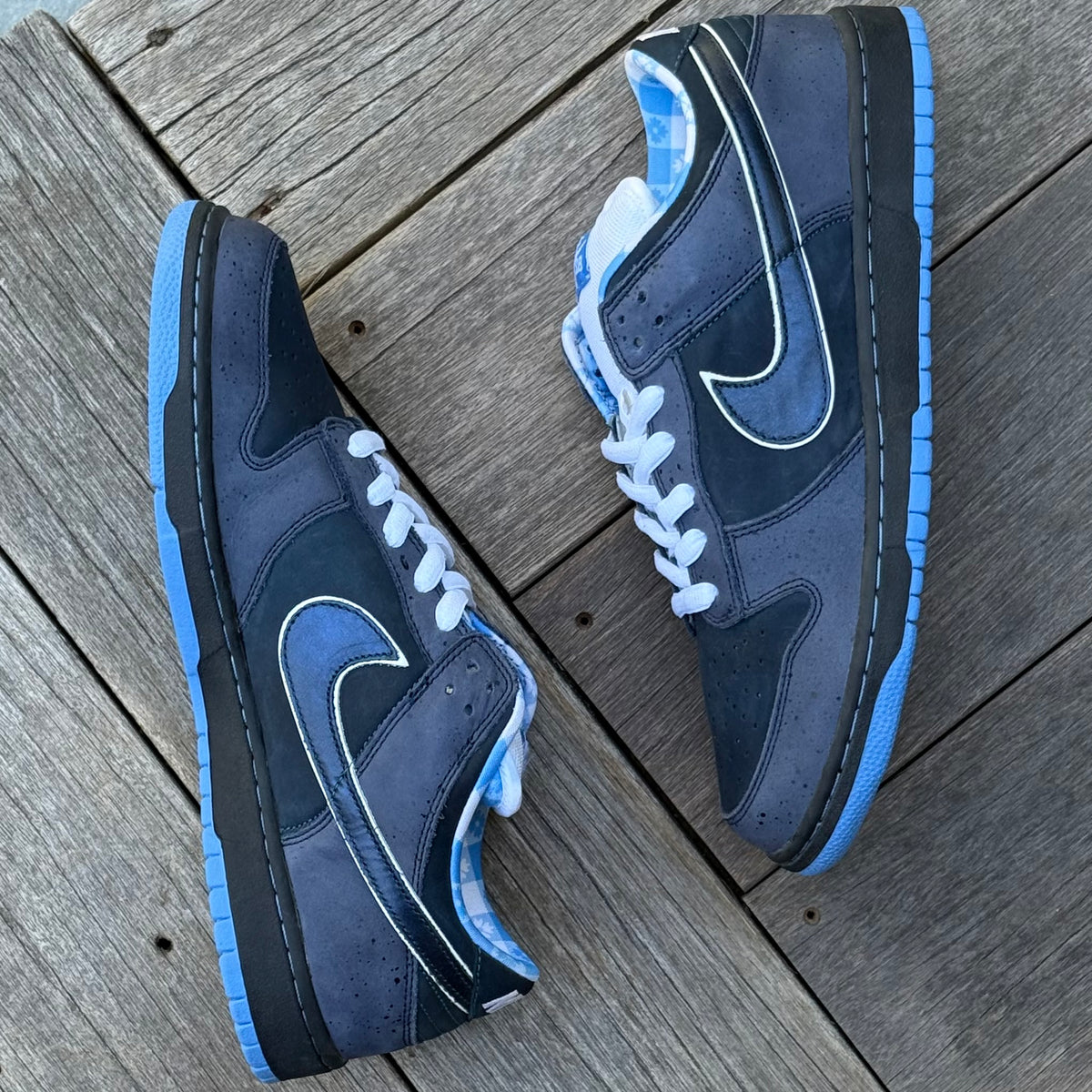 Nike SB Dunk Low Blue Lobster Size 12