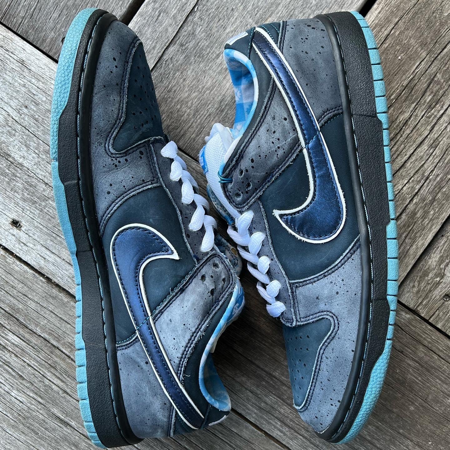 Blue lobster best sale sb dunk