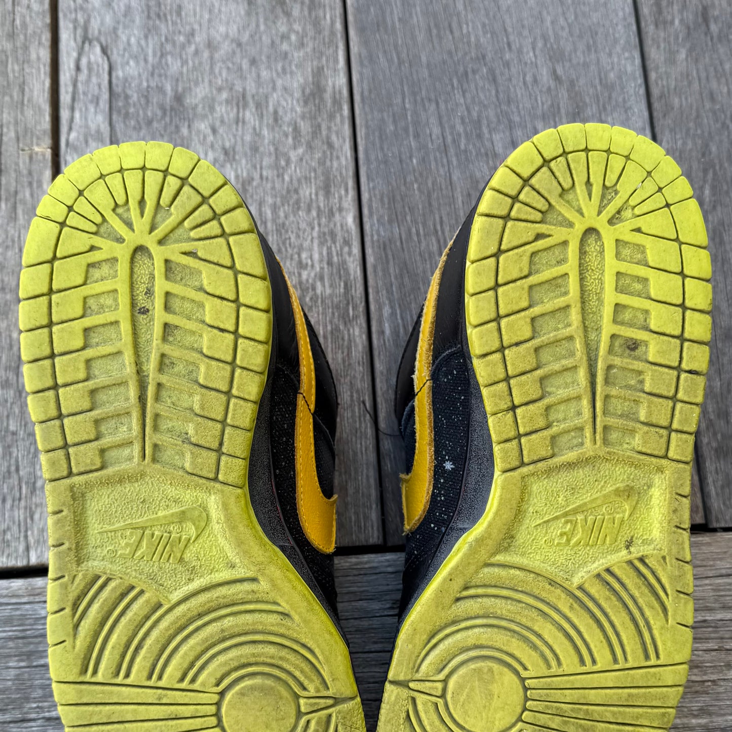 Nike SB Dunk Low Space Tiger Size 9