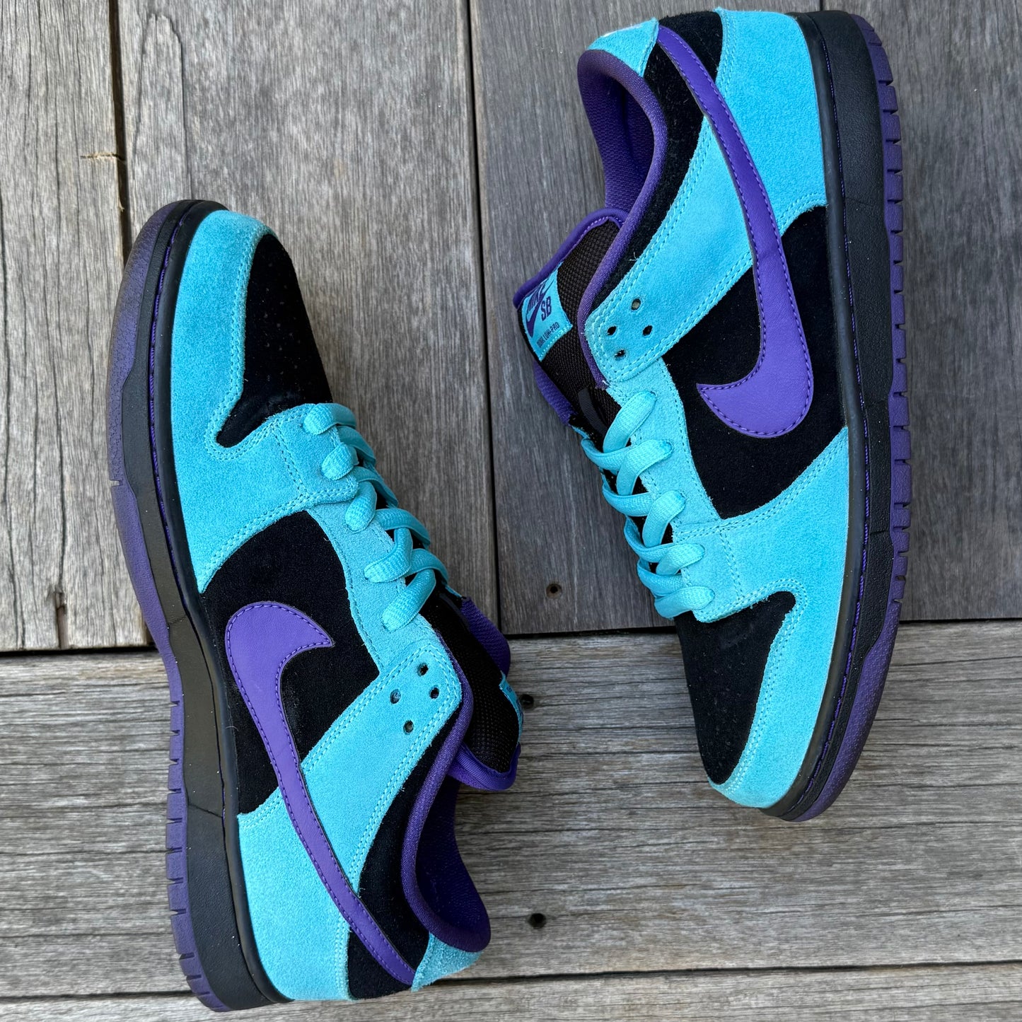Nike SB Dunk Low Skeletor Size 9.5