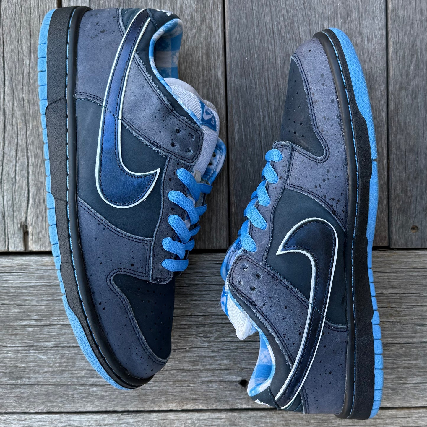 Nike SB Dunk Low Blue Lobster Size 10