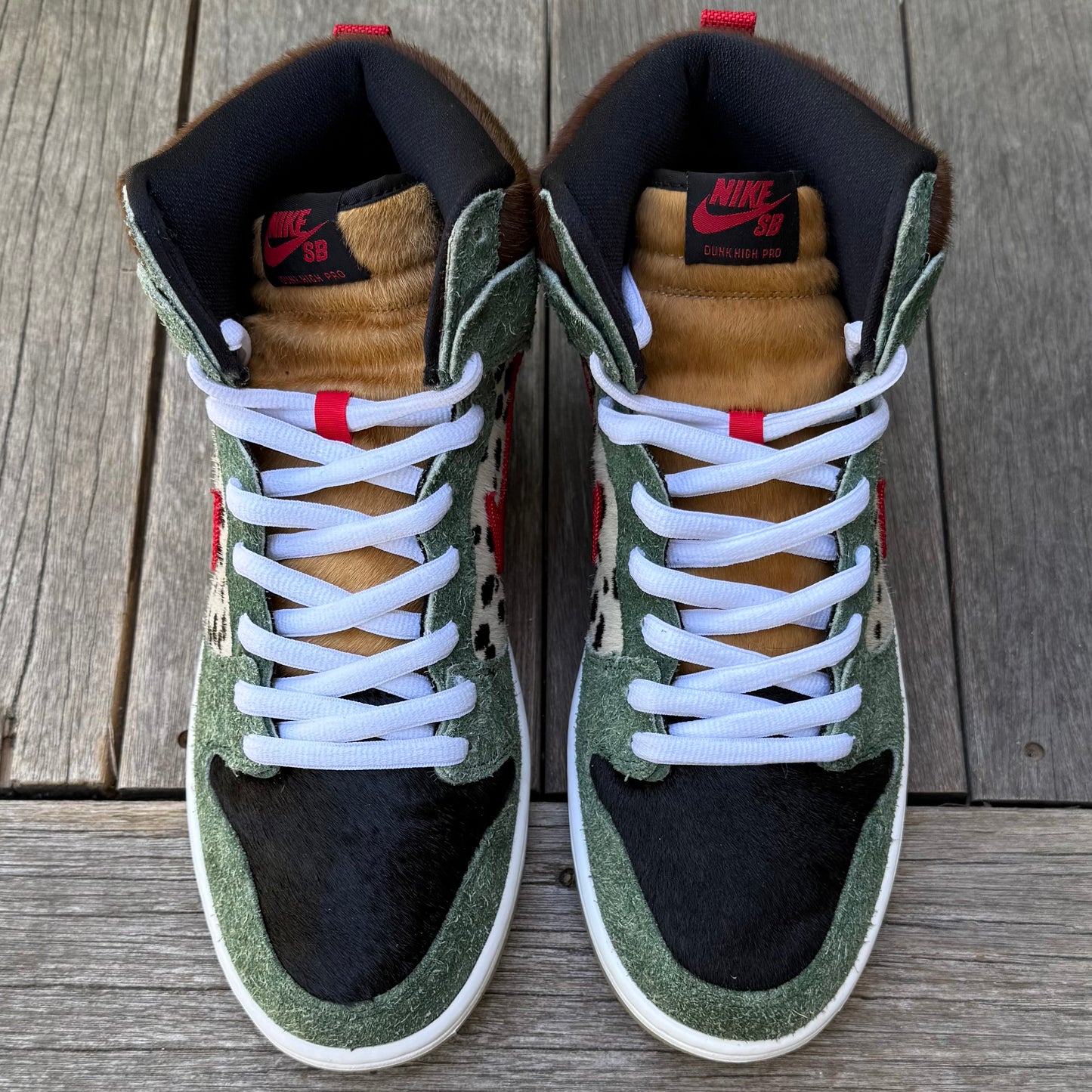 Nike SB Dunk High Dog Walker Size 10.5