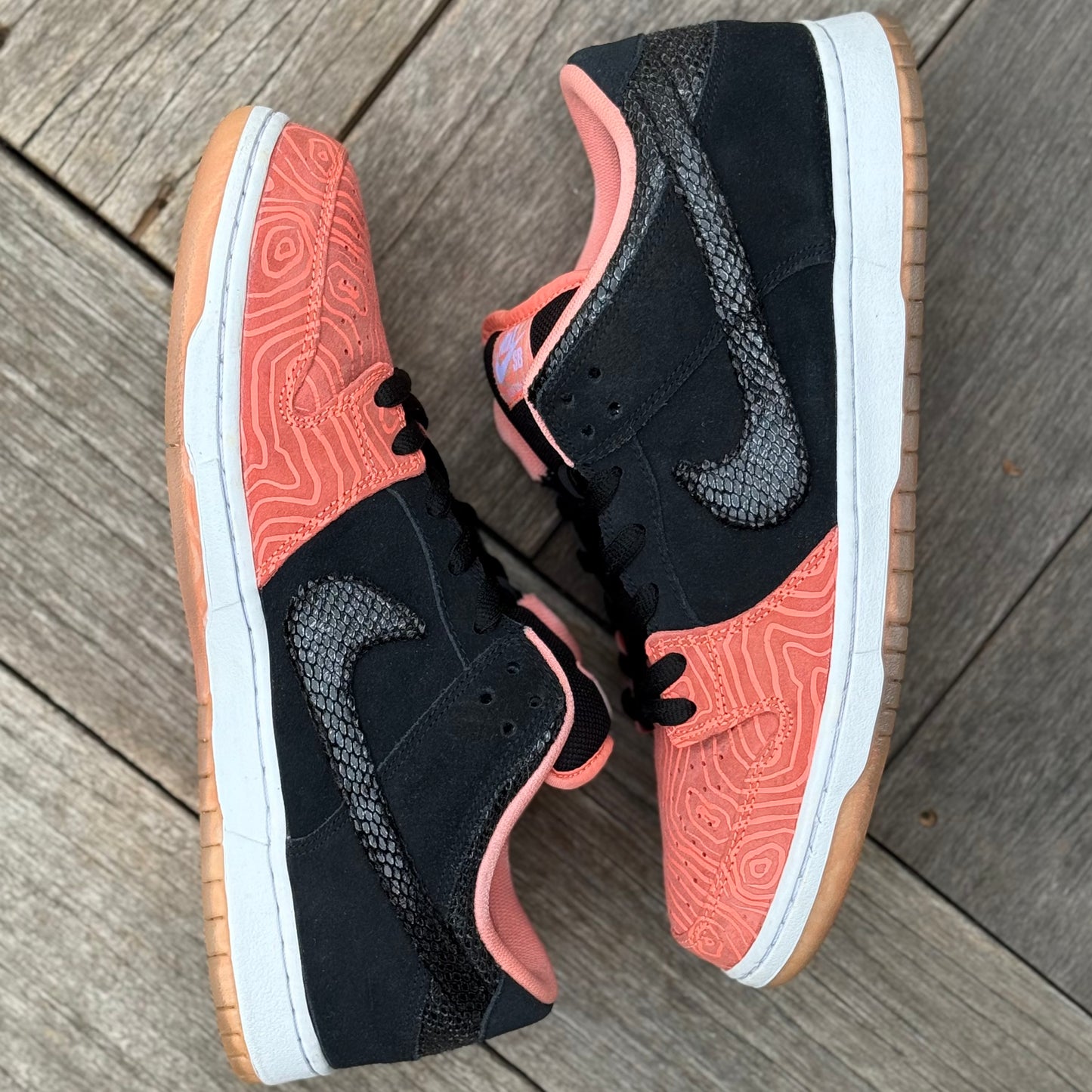 Nike SB Dunk Low Fish Ladder Size 12