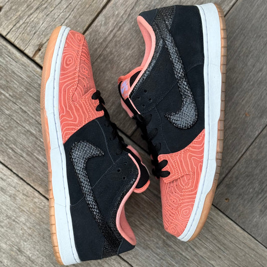 Nike SB Dunk Low Fish Ladder Size 12