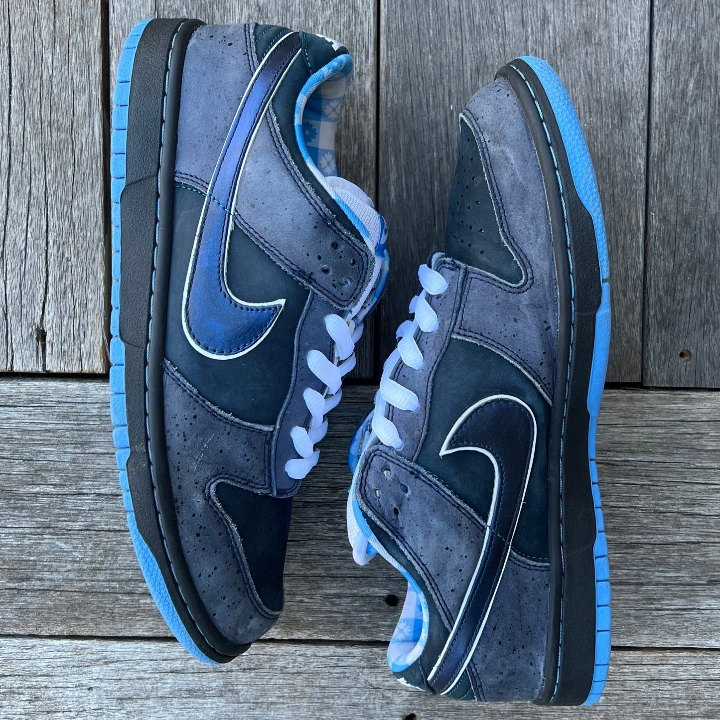 Nike SB Dunk Low Blue Lobster Size 10.5