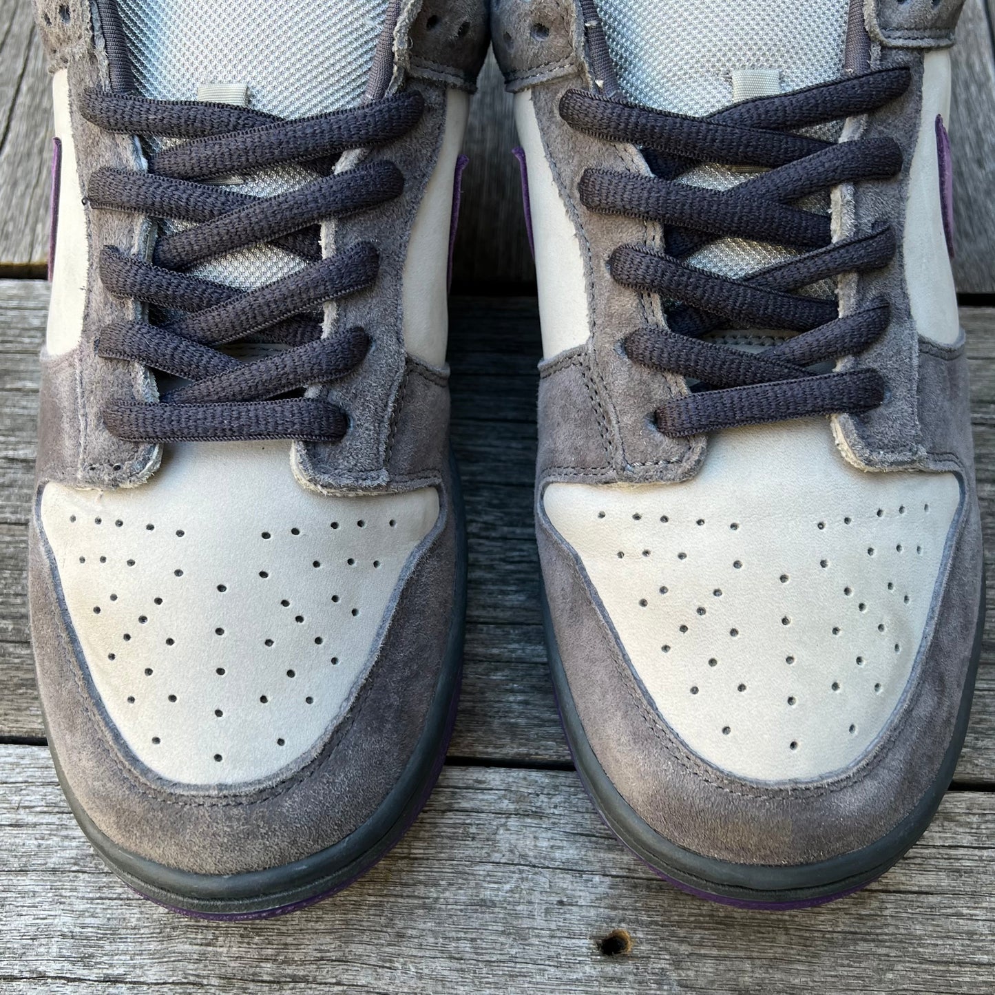 Nike SB Dunk Low Purple Pigeon Size 11.5