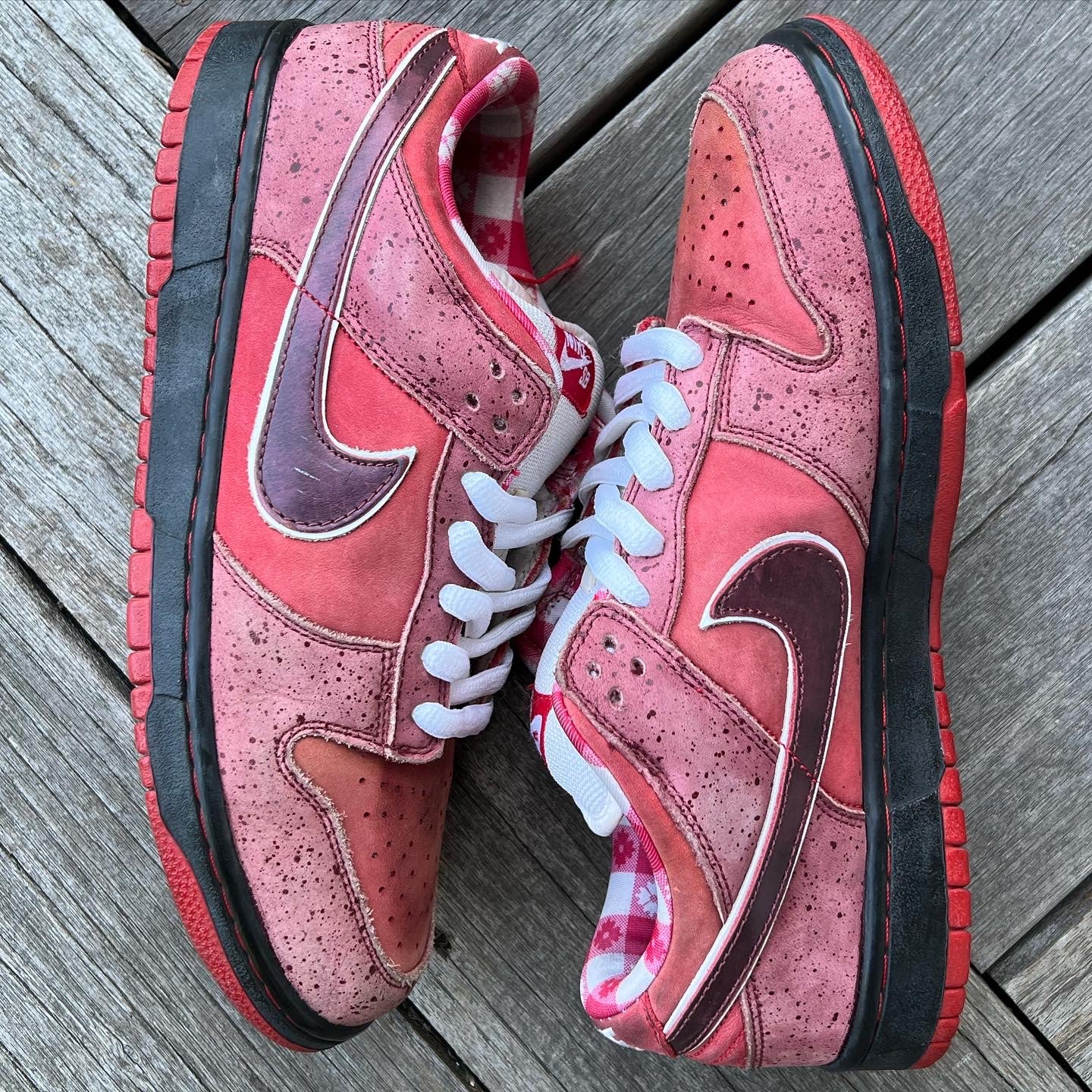 Sb dunk best sale red lobster