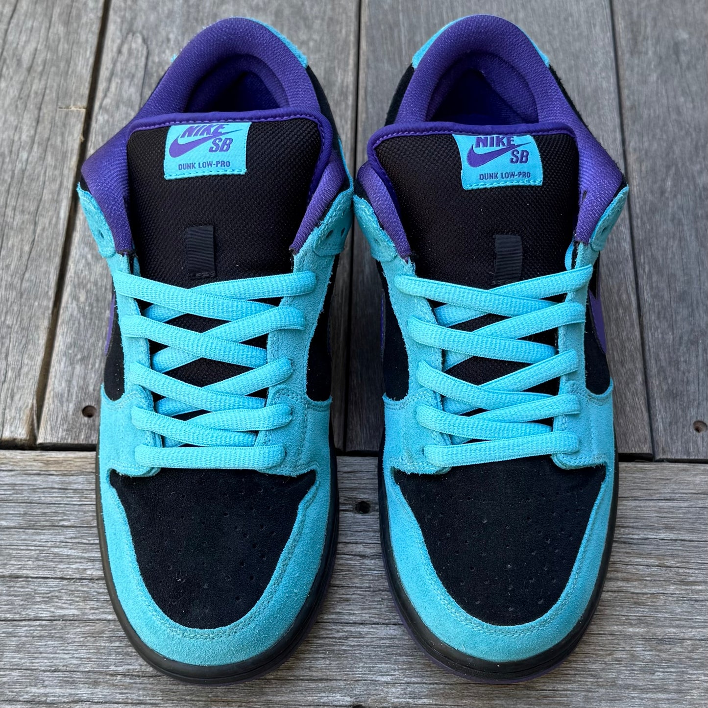 Nike SB Dunk Low Skeletor Size 9.5