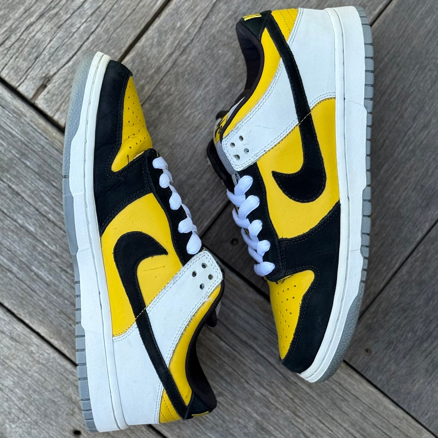 Nike SB Dunk Low BIC Size 9