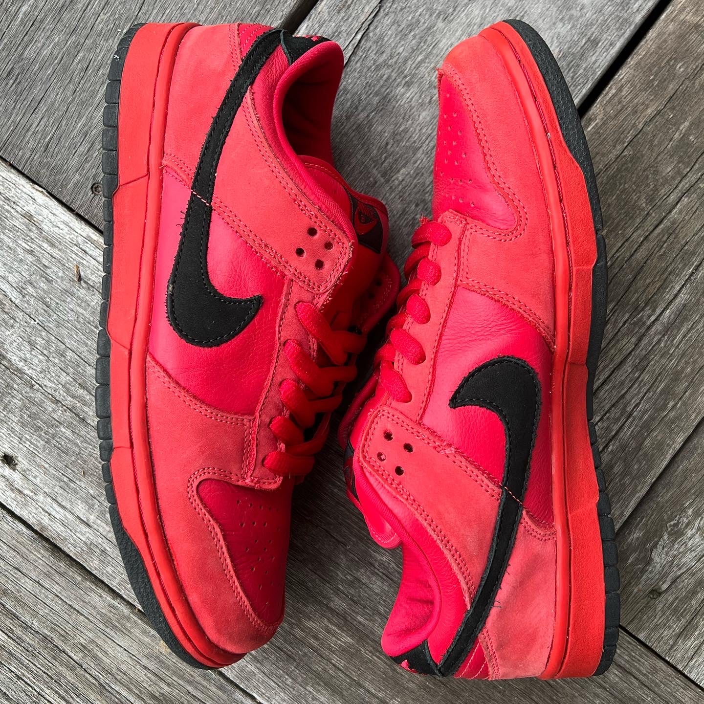 Nike sb true red best sale