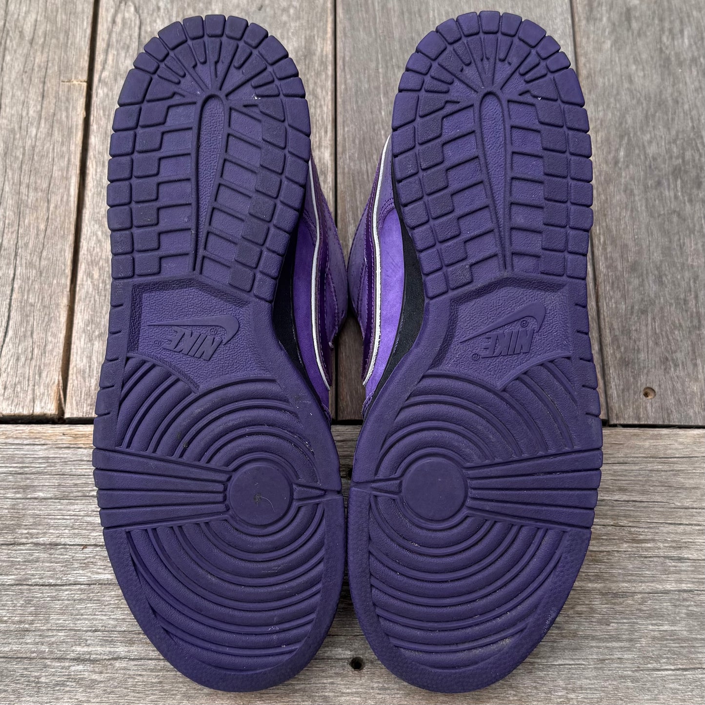 Nike SB Dunk Low Purple Lobster Size 9.5