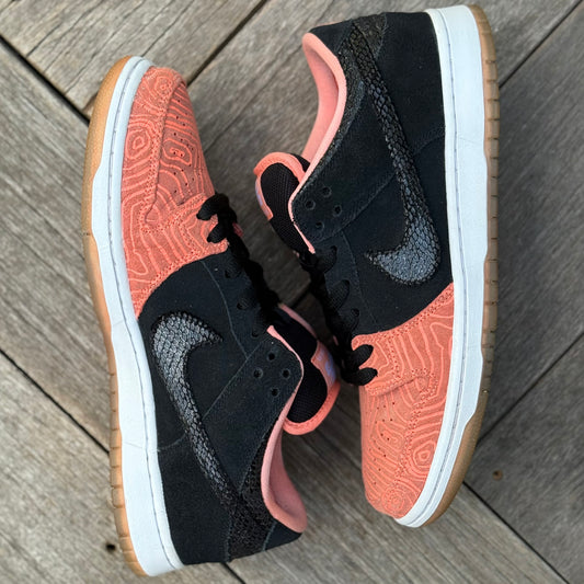 Nike SB Dunk Low Fish Ladder Size 10