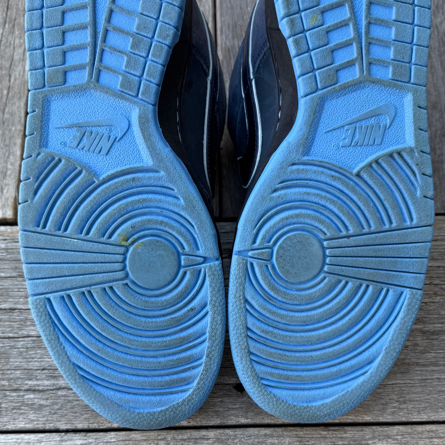 Nike SB Dunk Low Blue Lobster Size 10