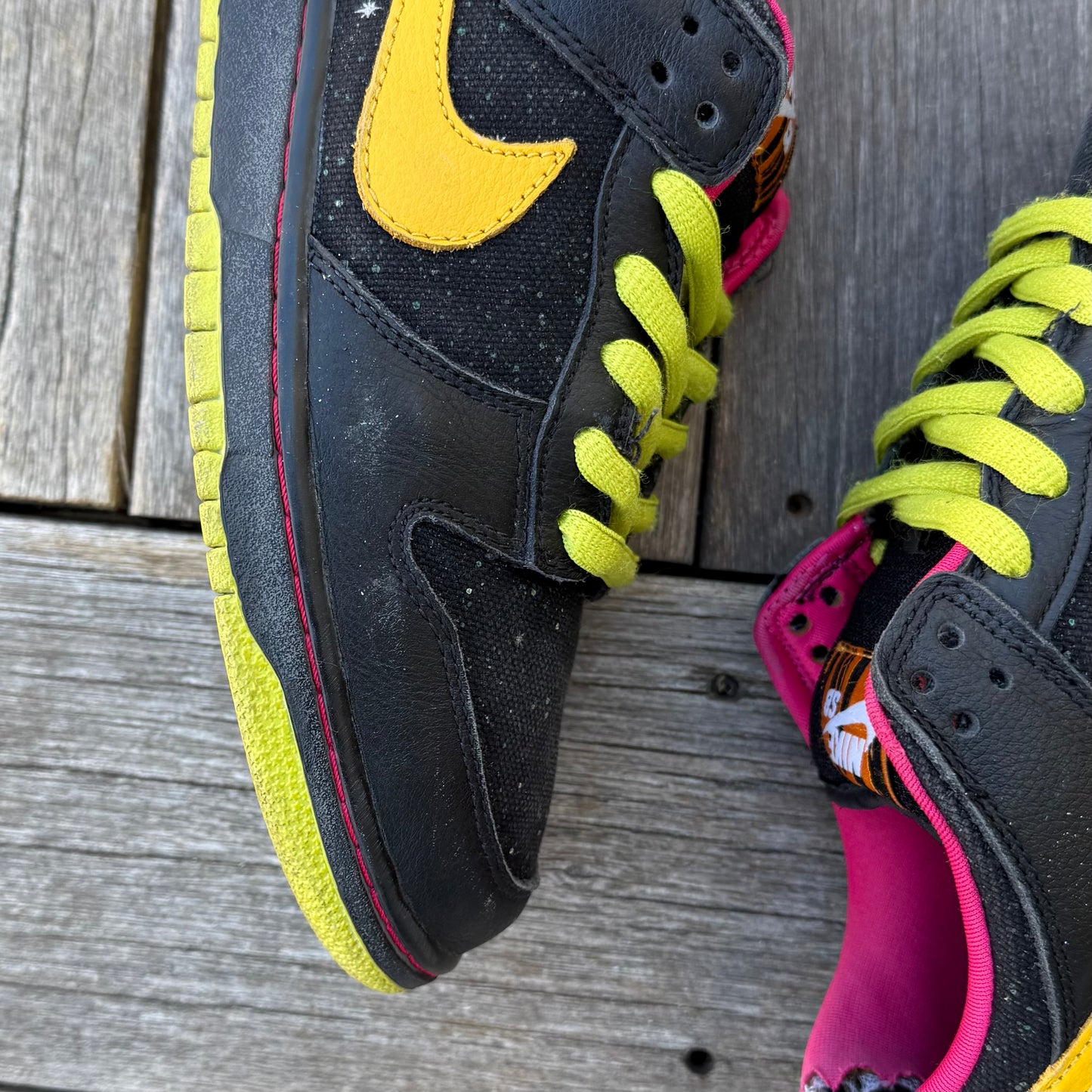 Nike SB Dunk Low Space Tiger Size 9