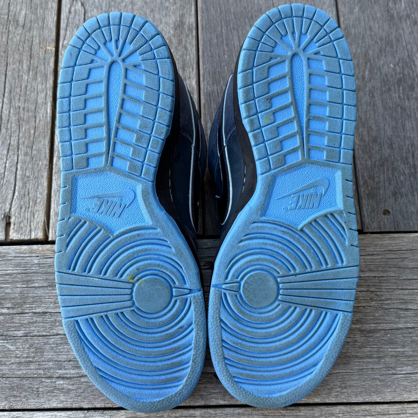 Nike SB Dunk Low Blue Lobster Size 10