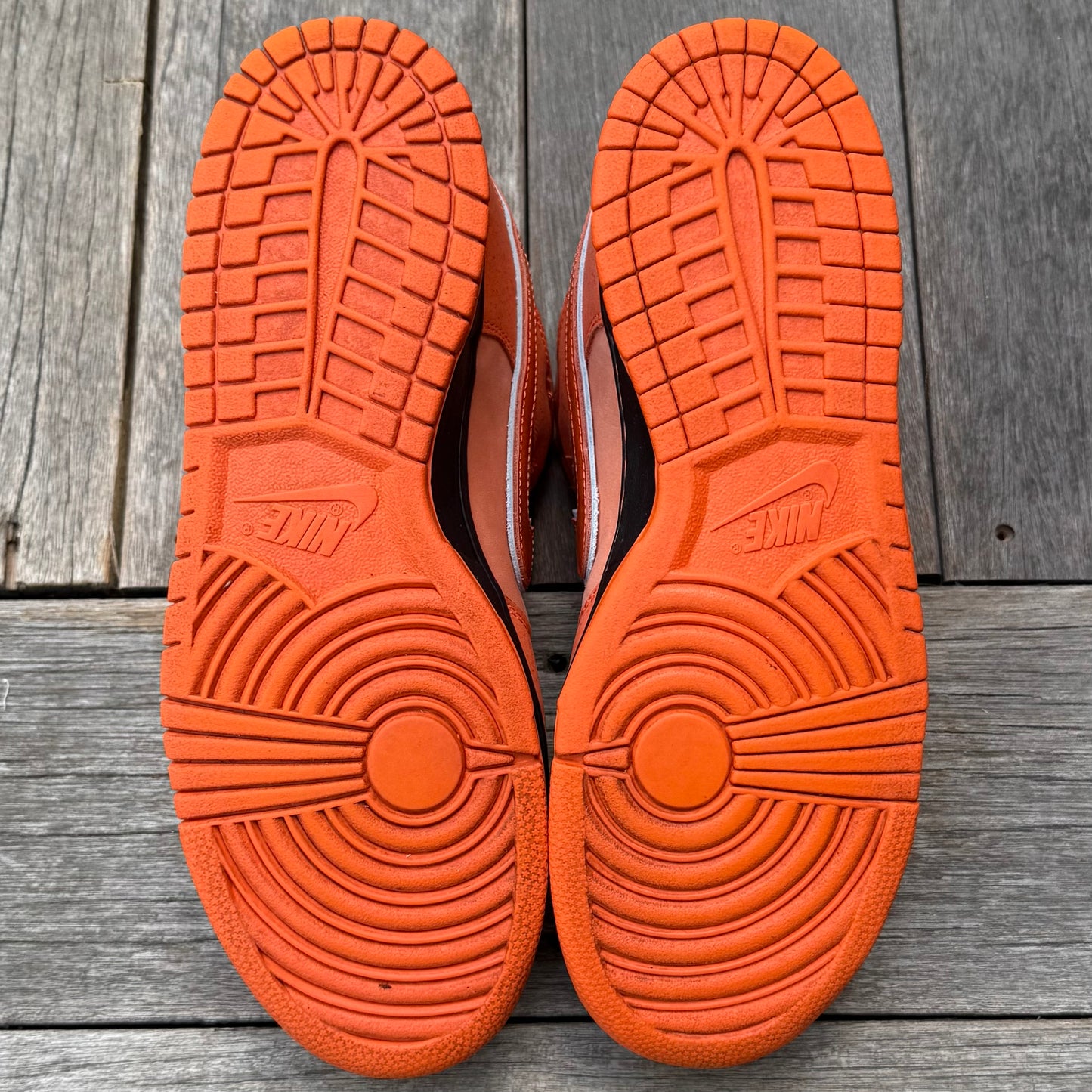 Nike SB Dunk Low Orange Lobster Size 10