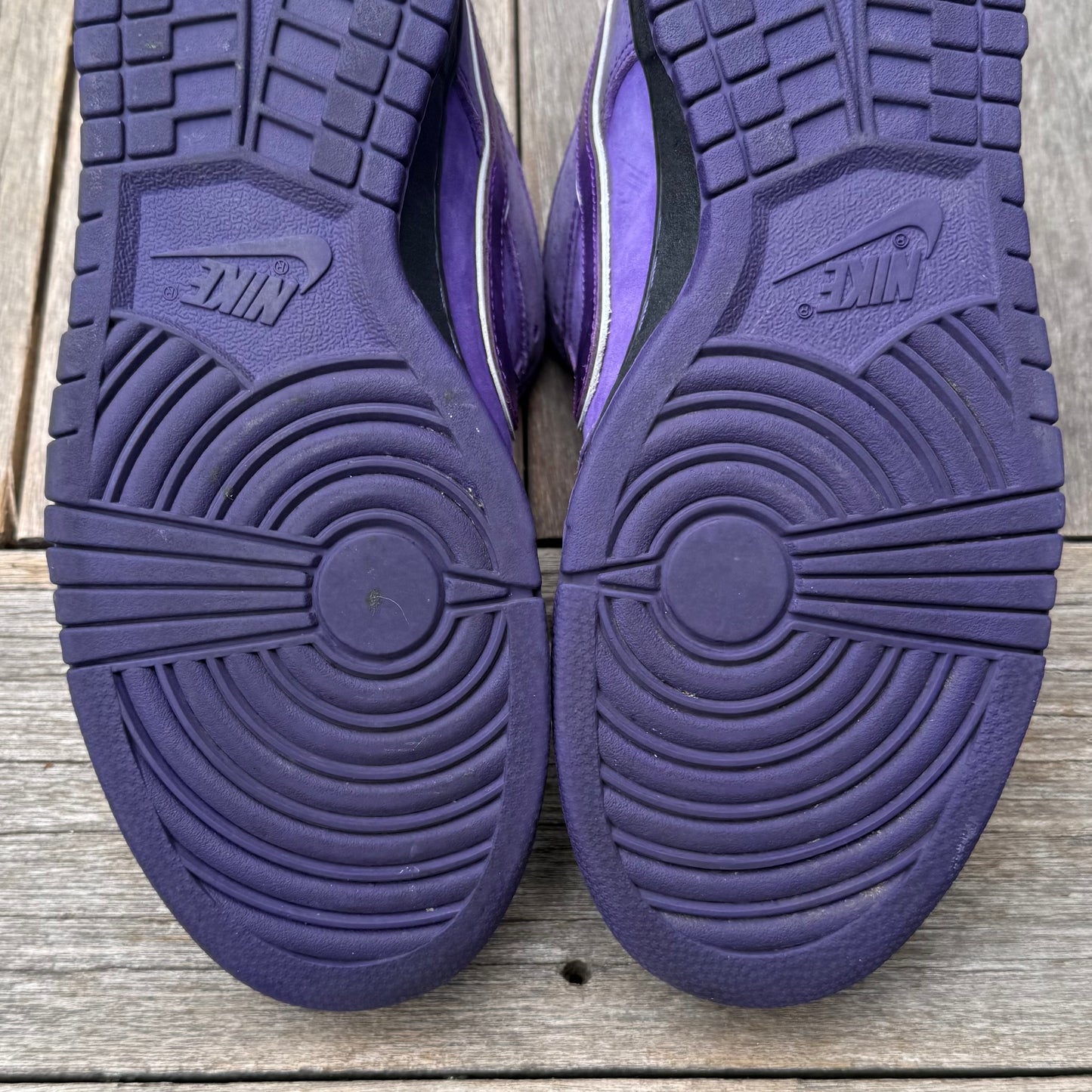 Nike SB Dunk Low Purple Lobster Size 9.5
