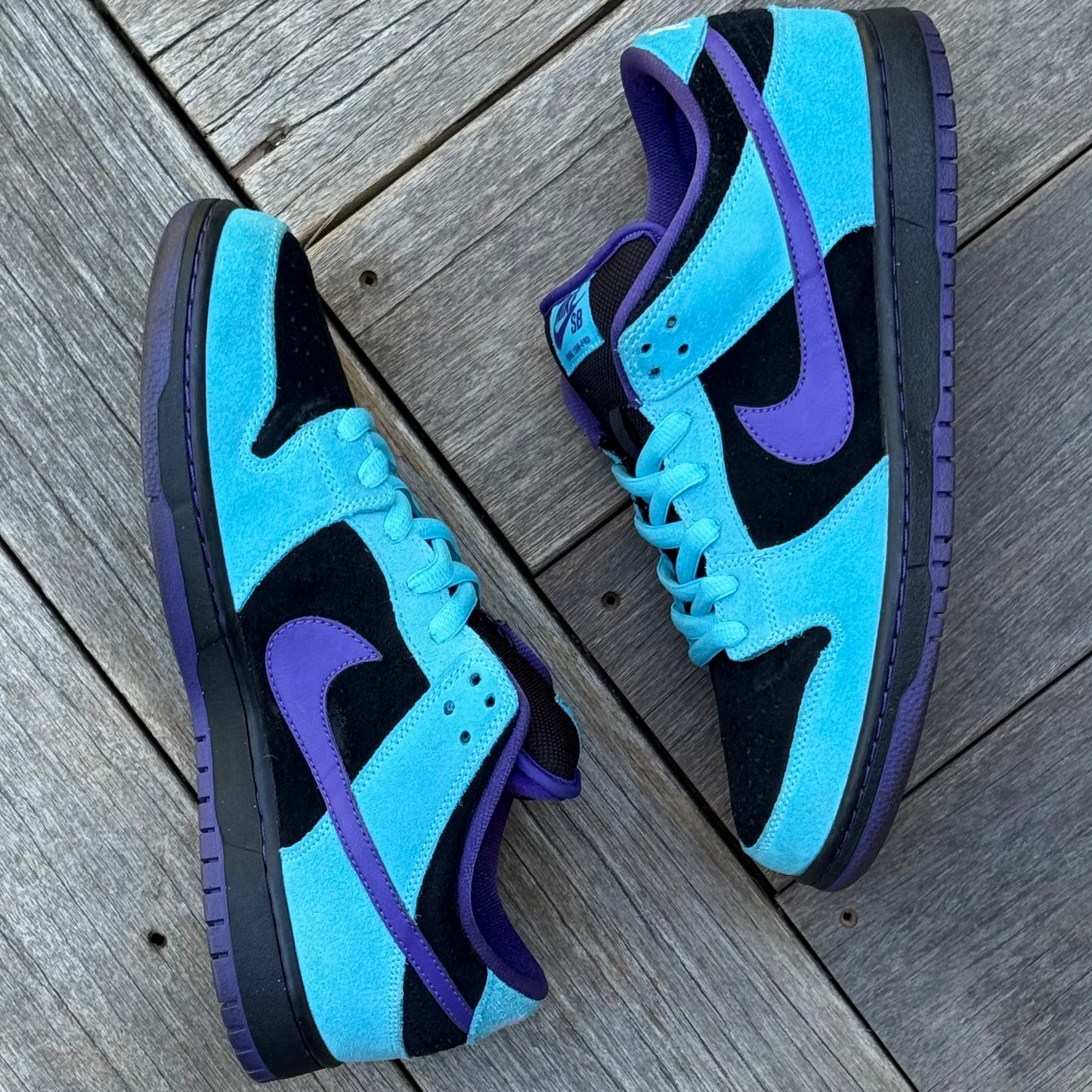 Nike SB Dunk Low Skeletor Size 9.5