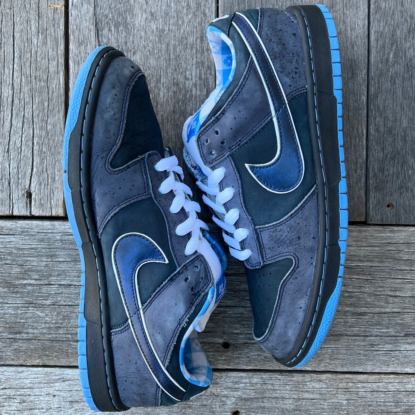 Nike SB Dunk Low Blue Lobster Size 10.5